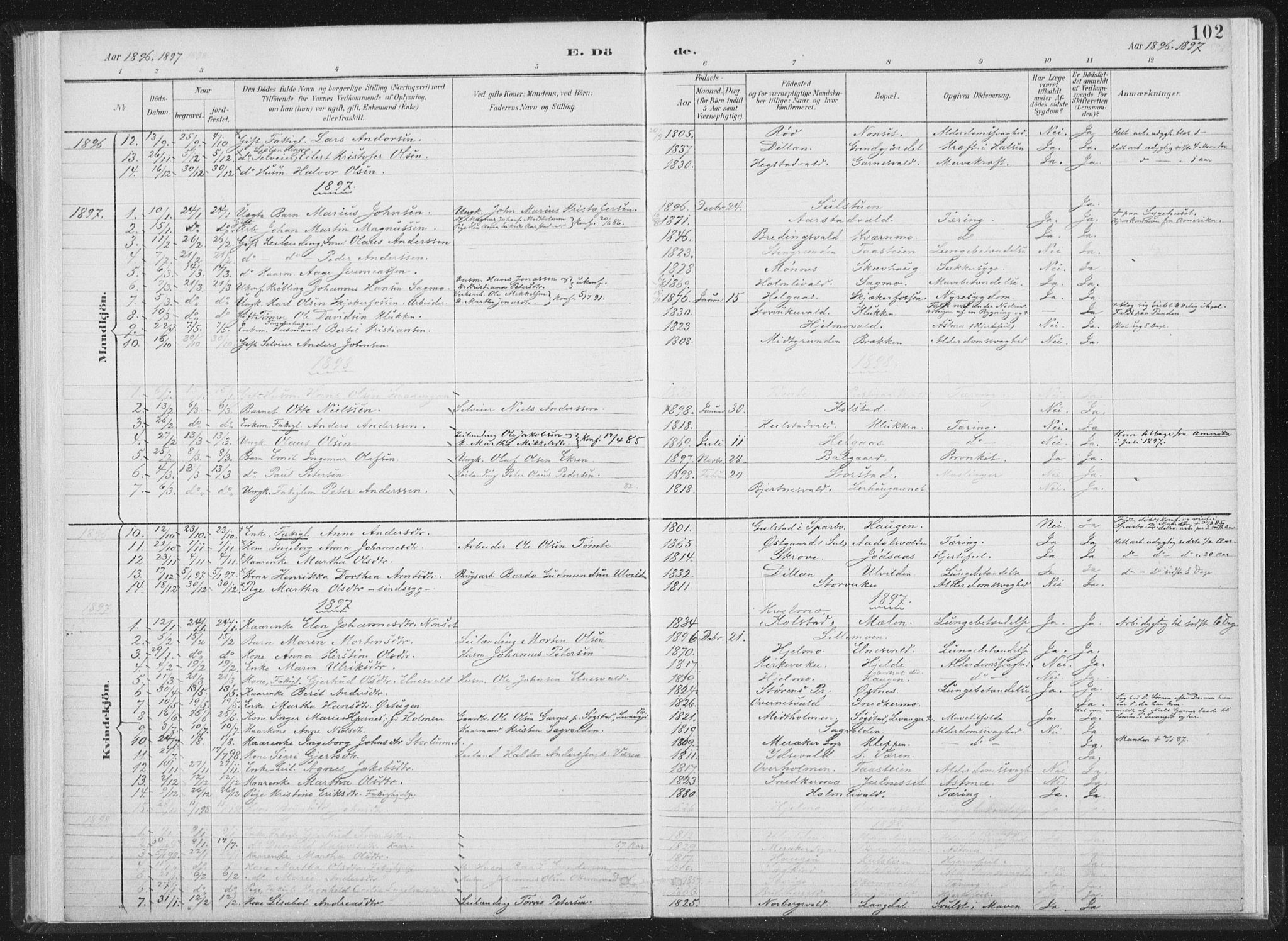Ministerialprotokoller, klokkerbøker og fødselsregistre - Nord-Trøndelag, SAT/A-1458/724/L0263: Parish register (official) no. 724A01, 1891-1907, p. 102