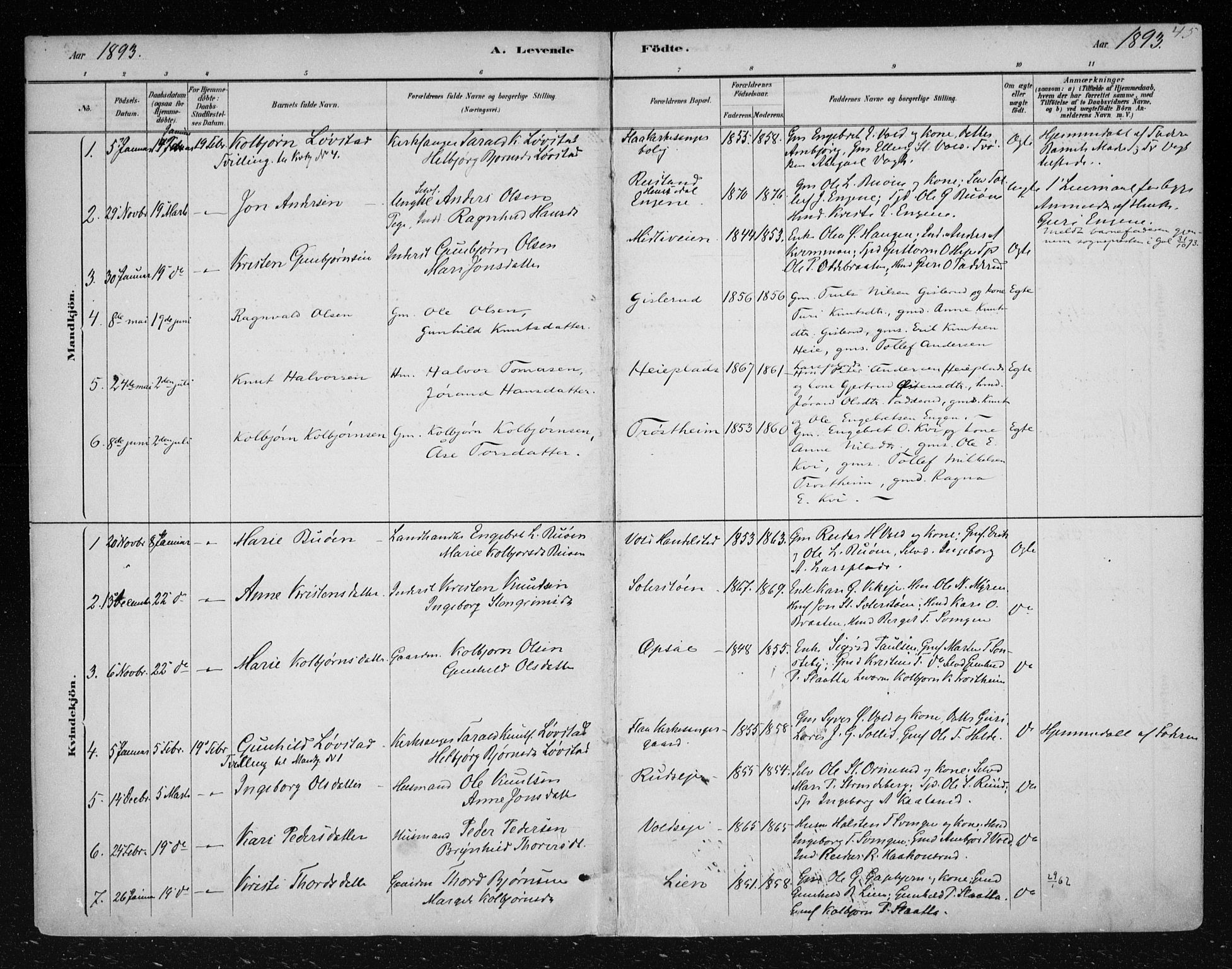 Nes kirkebøker, SAKO/A-236/F/Fa/L0012: Parish register (official) no. 12, 1881-1917, p. 45