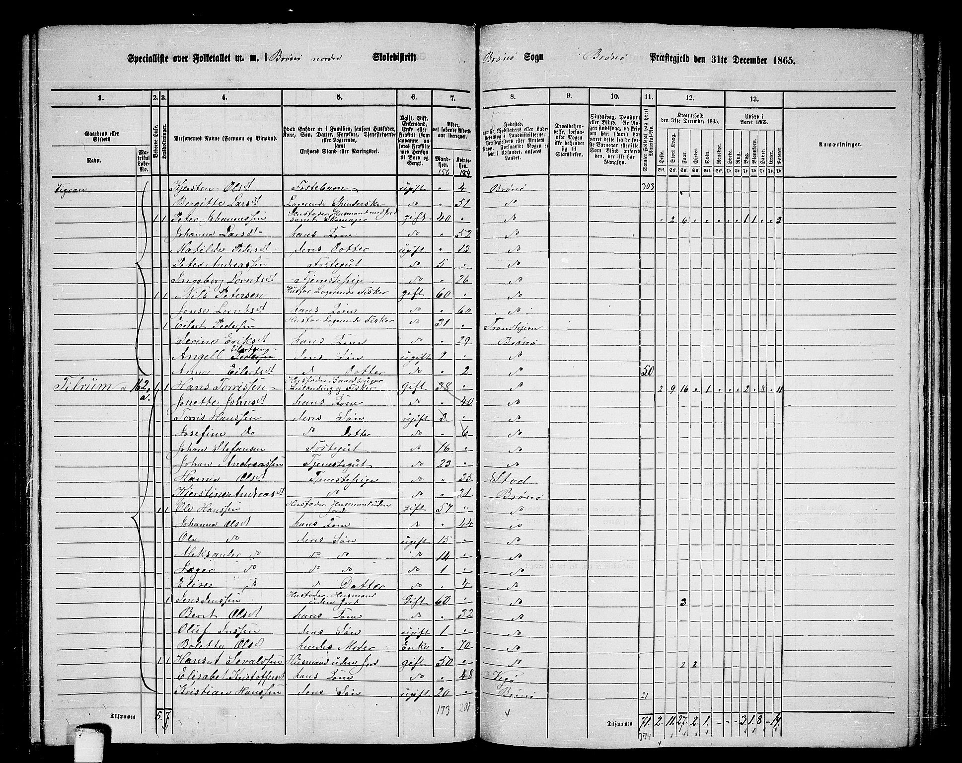 RA, 1865 census for Brønnøy, 1865, p. 158