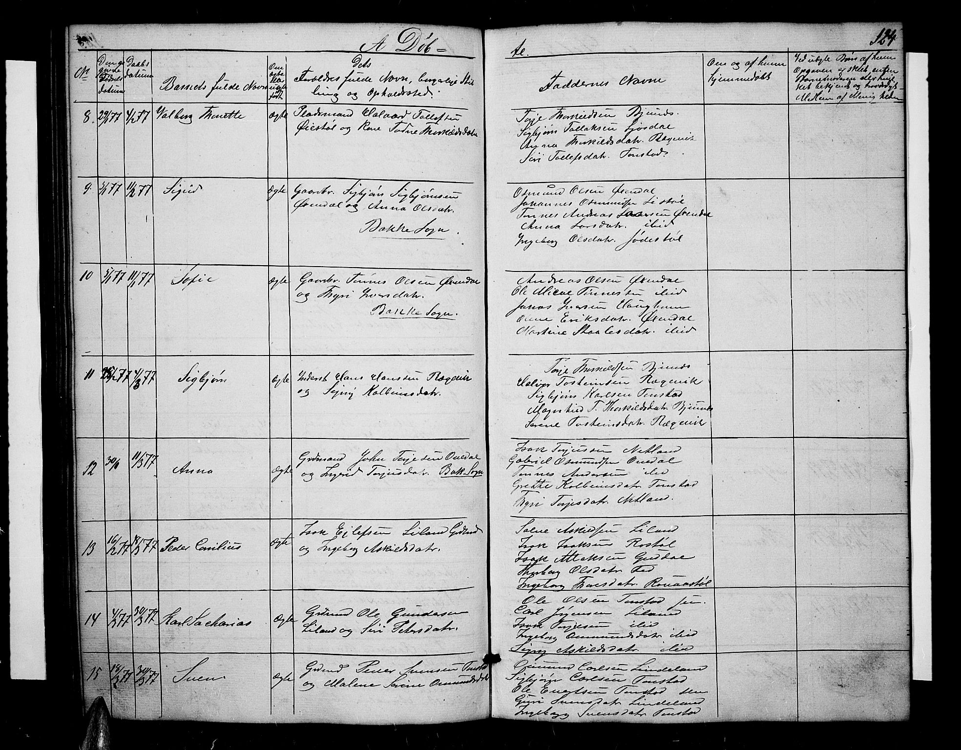 Sirdal sokneprestkontor, AV/SAK-1111-0036/F/Fb/Fbb/L0002: Parish register (copy) no. B 2, 1848-1878, p. 124