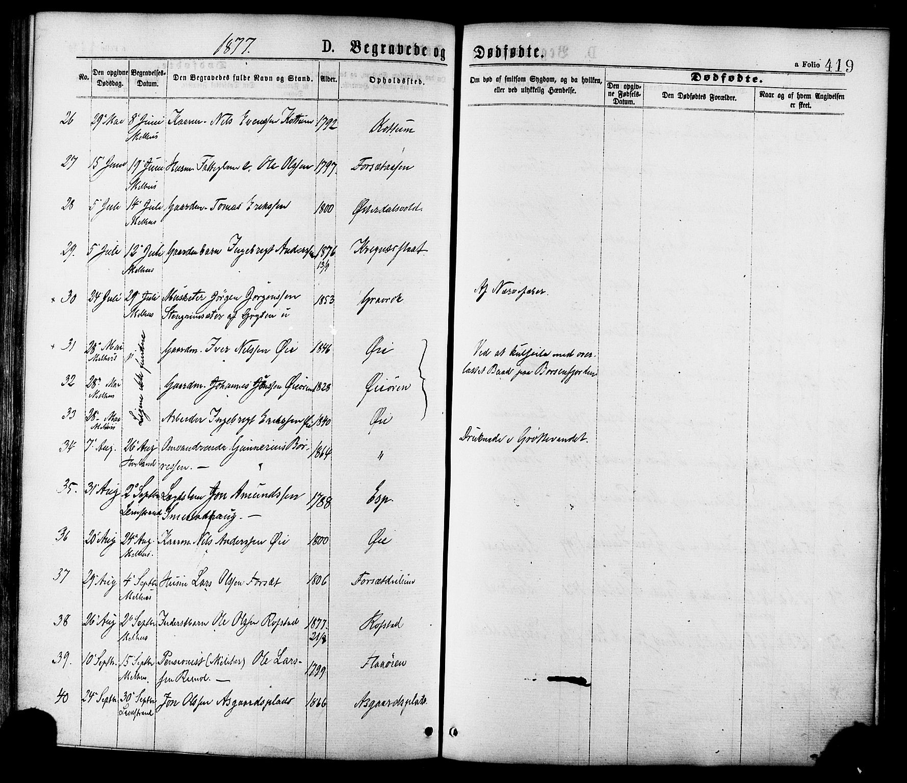 Ministerialprotokoller, klokkerbøker og fødselsregistre - Sør-Trøndelag, AV/SAT-A-1456/691/L1079: Parish register (official) no. 691A11, 1873-1886, p. 419