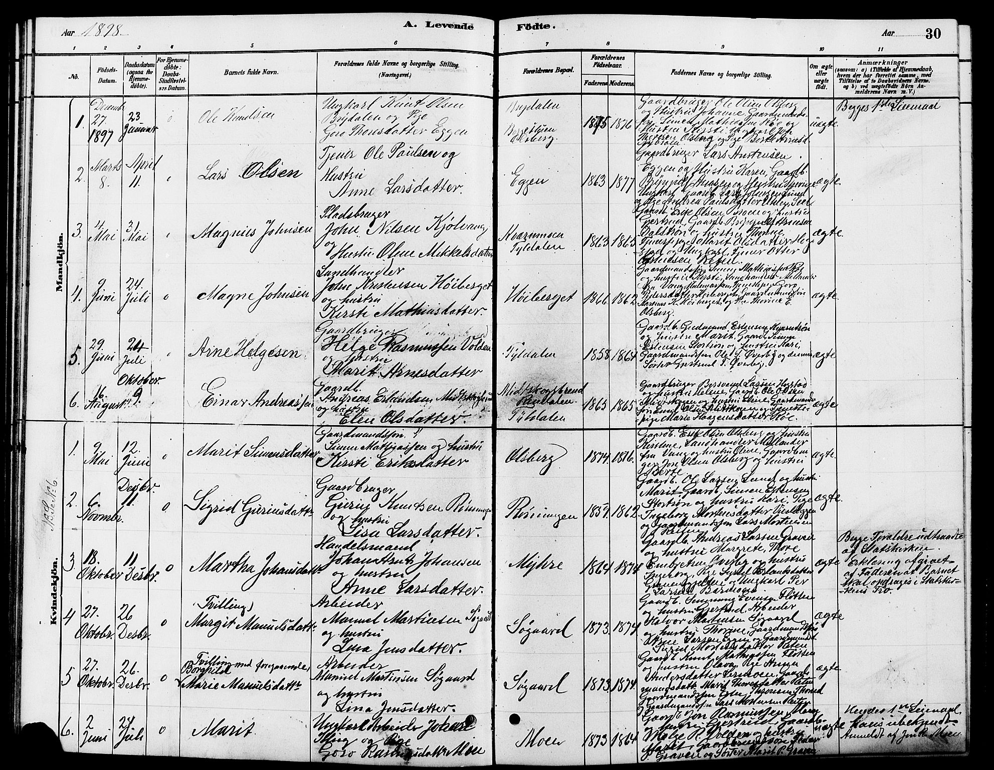 Tynset prestekontor, SAH/PREST-058/H/Ha/Hab/L0007: Parish register (copy) no. 7, 1880-1901, p. 30
