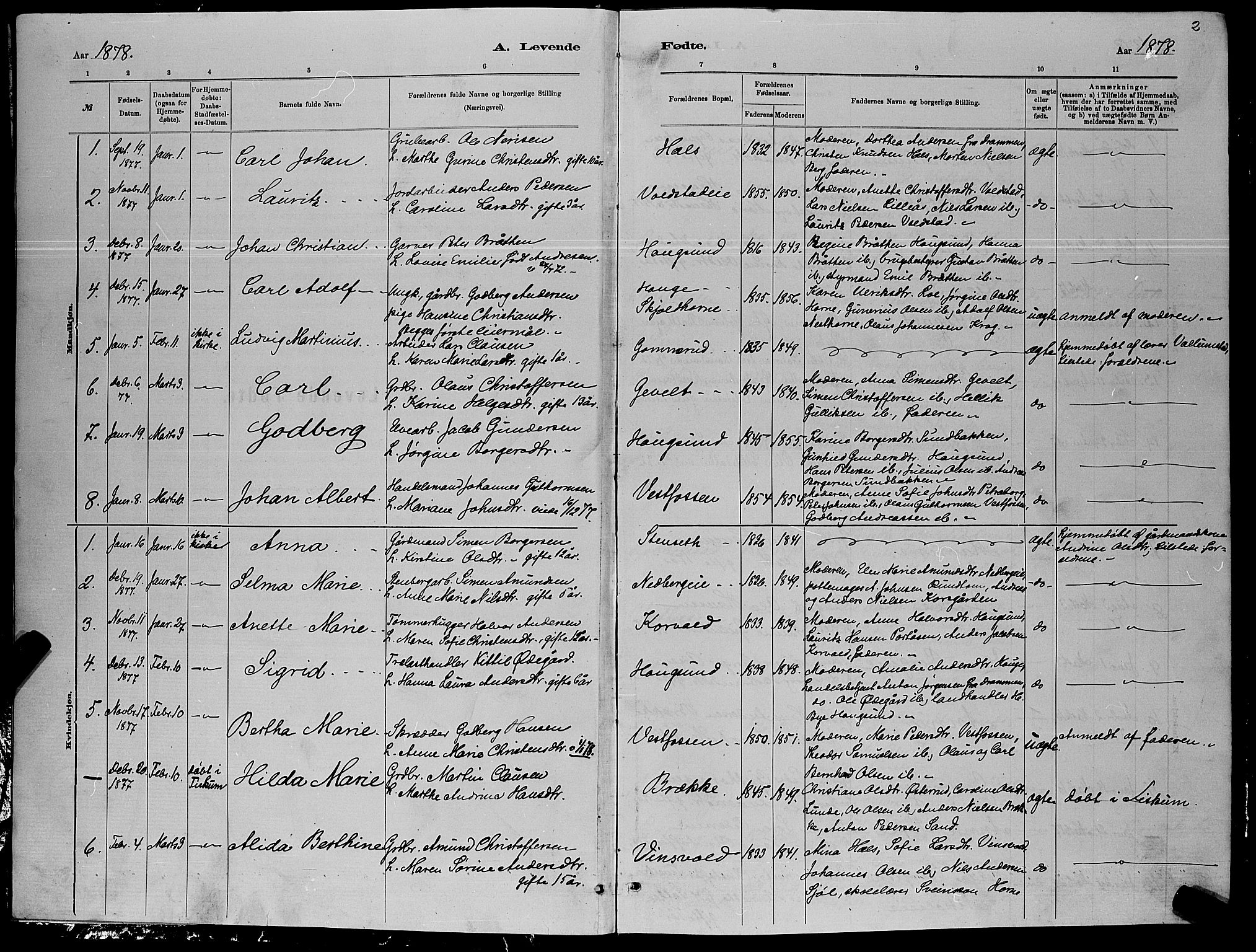 Eiker kirkebøker, AV/SAKO-A-4/G/Ga/L0005: Parish register (copy) no. I 5, 1878-1887, p. 2