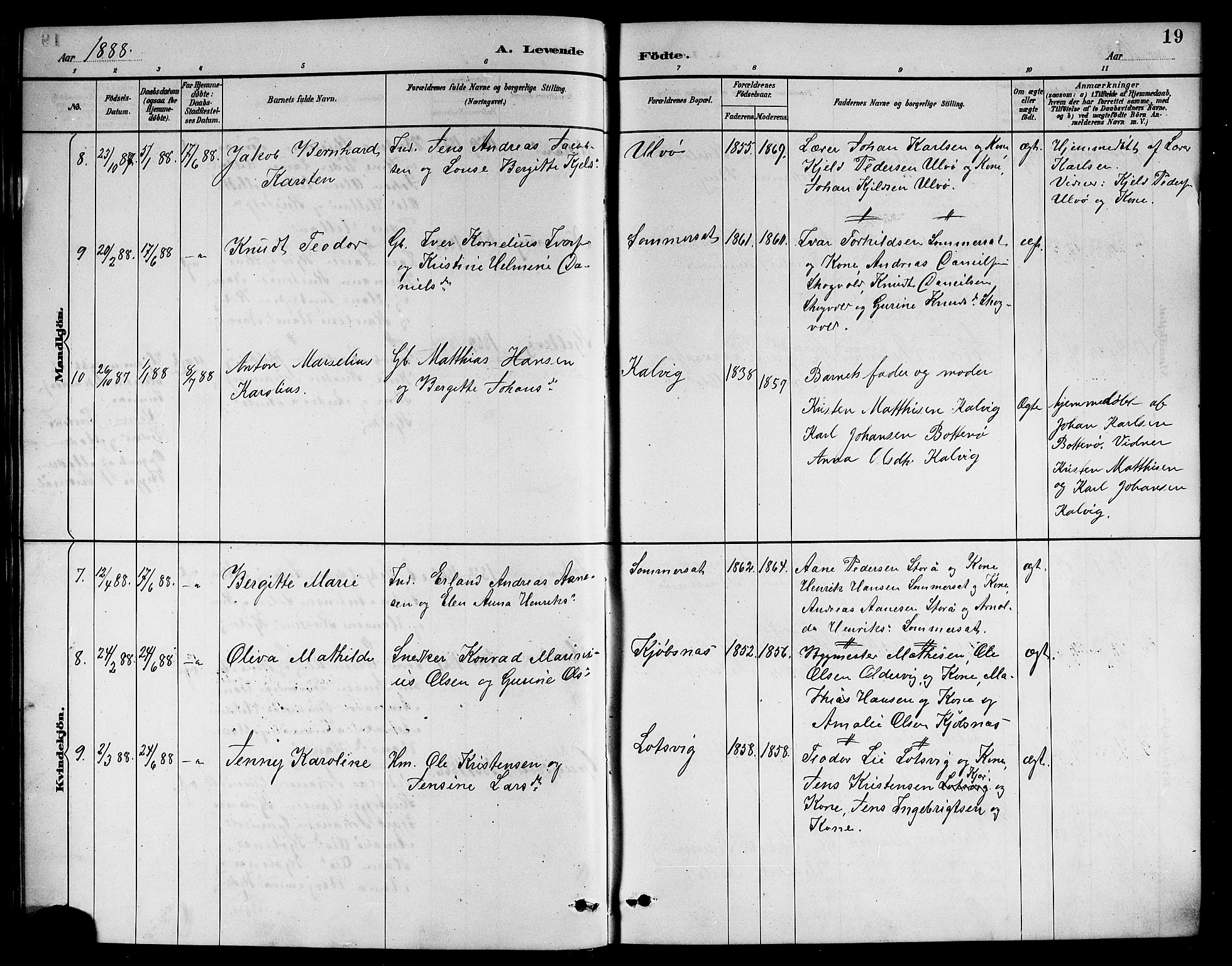 Ministerialprotokoller, klokkerbøker og fødselsregistre - Nordland, AV/SAT-A-1459/861/L0876: Parish register (copy) no. 861C02, 1887-1903, p. 19