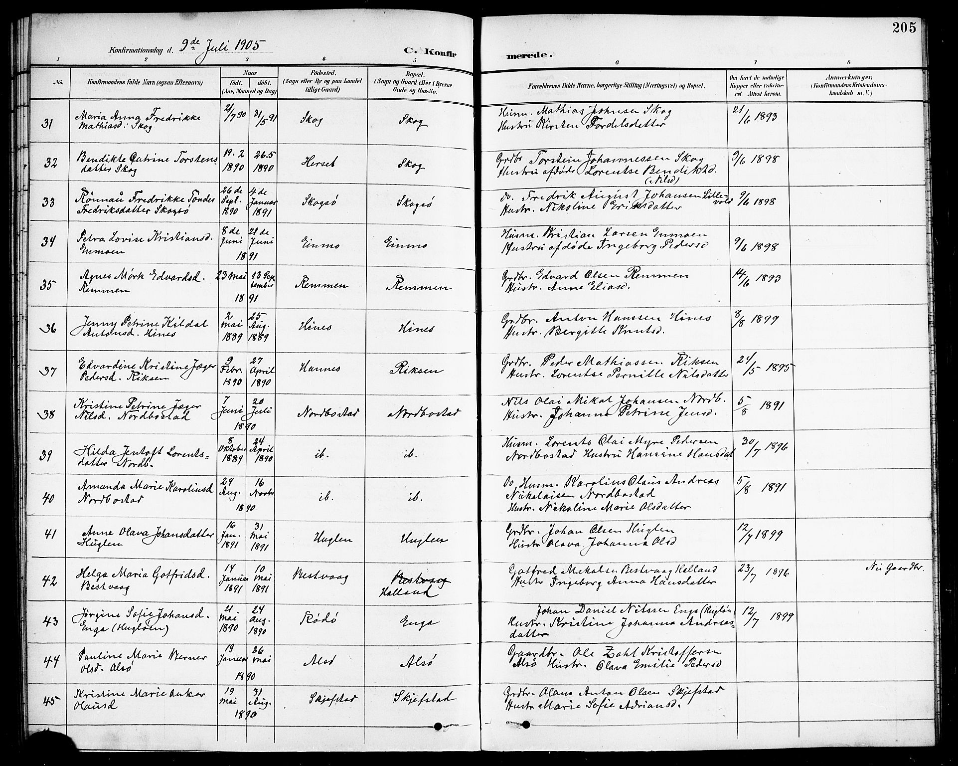 Ministerialprotokoller, klokkerbøker og fødselsregistre - Nordland, AV/SAT-A-1459/838/L0559: Parish register (copy) no. 838C06, 1893-1910, p. 205