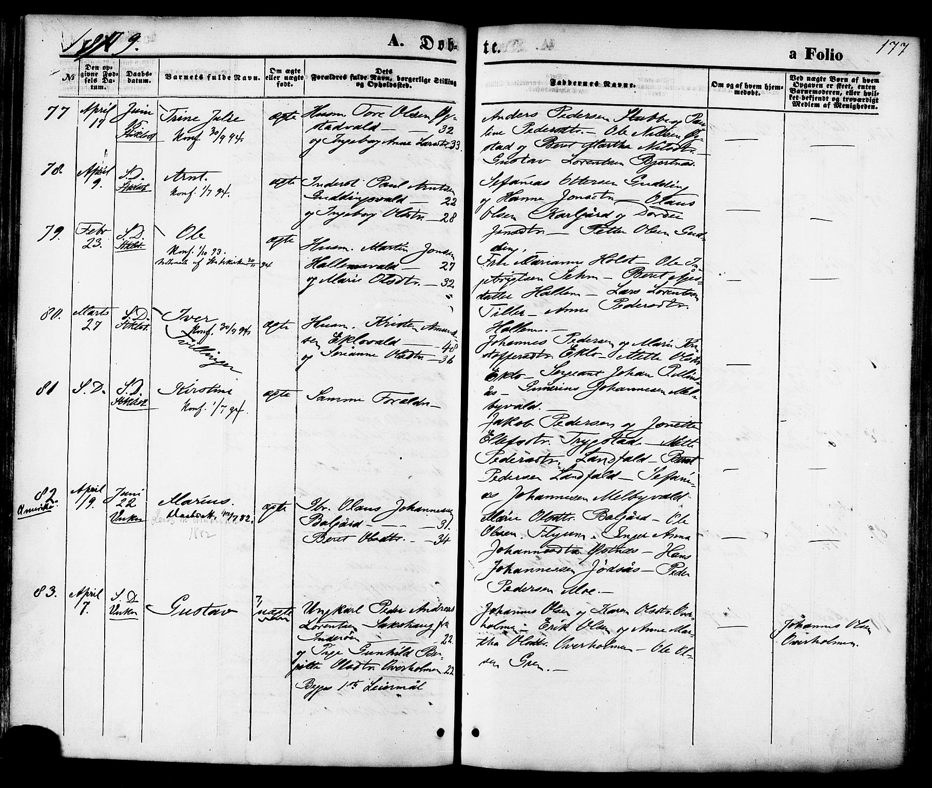 Ministerialprotokoller, klokkerbøker og fødselsregistre - Nord-Trøndelag, AV/SAT-A-1458/723/L0242: Parish register (official) no. 723A11, 1870-1880, p. 177