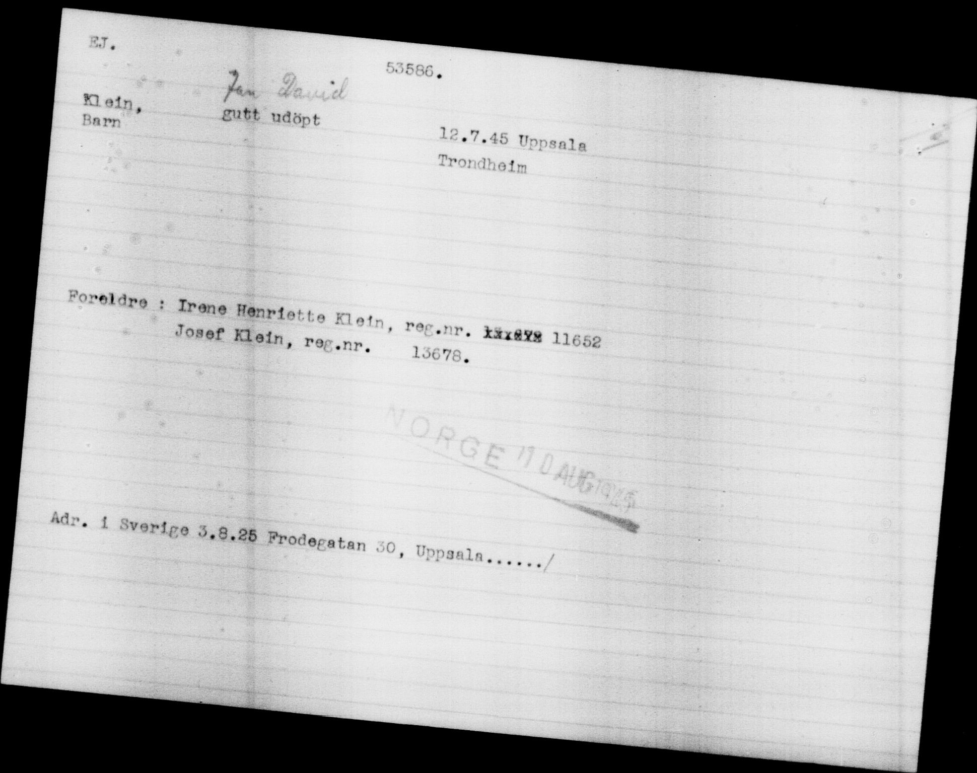 Utenriksstasjonene, Legasjonen i Stockholm, Flyktningkontoret, AV/RA-S-6753/V/Va/L0019: Kjesäterkartoteket, flyktninger med registreringsnr. 49600-55060, 1940-1945, p. 3049