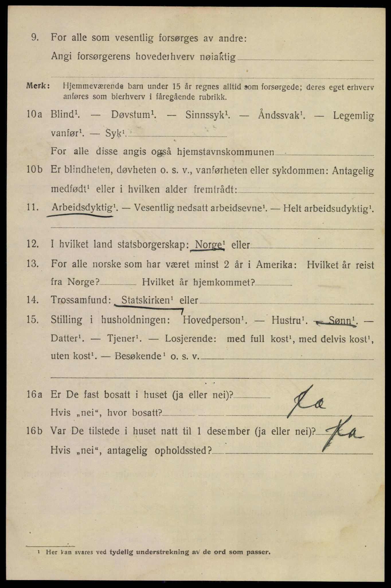 SAKO, 1920 census for Skien, 1920, p. 28599