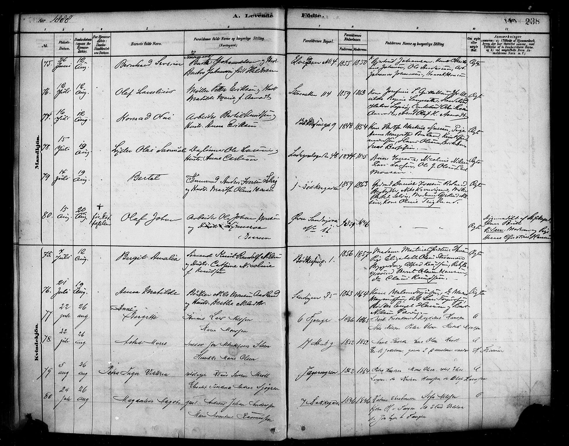 Sandviken Sokneprestembete, SAB/A-77601/H/Ha/L0004: Parish register (official) no. B 1, 1878-1891, p. 238
