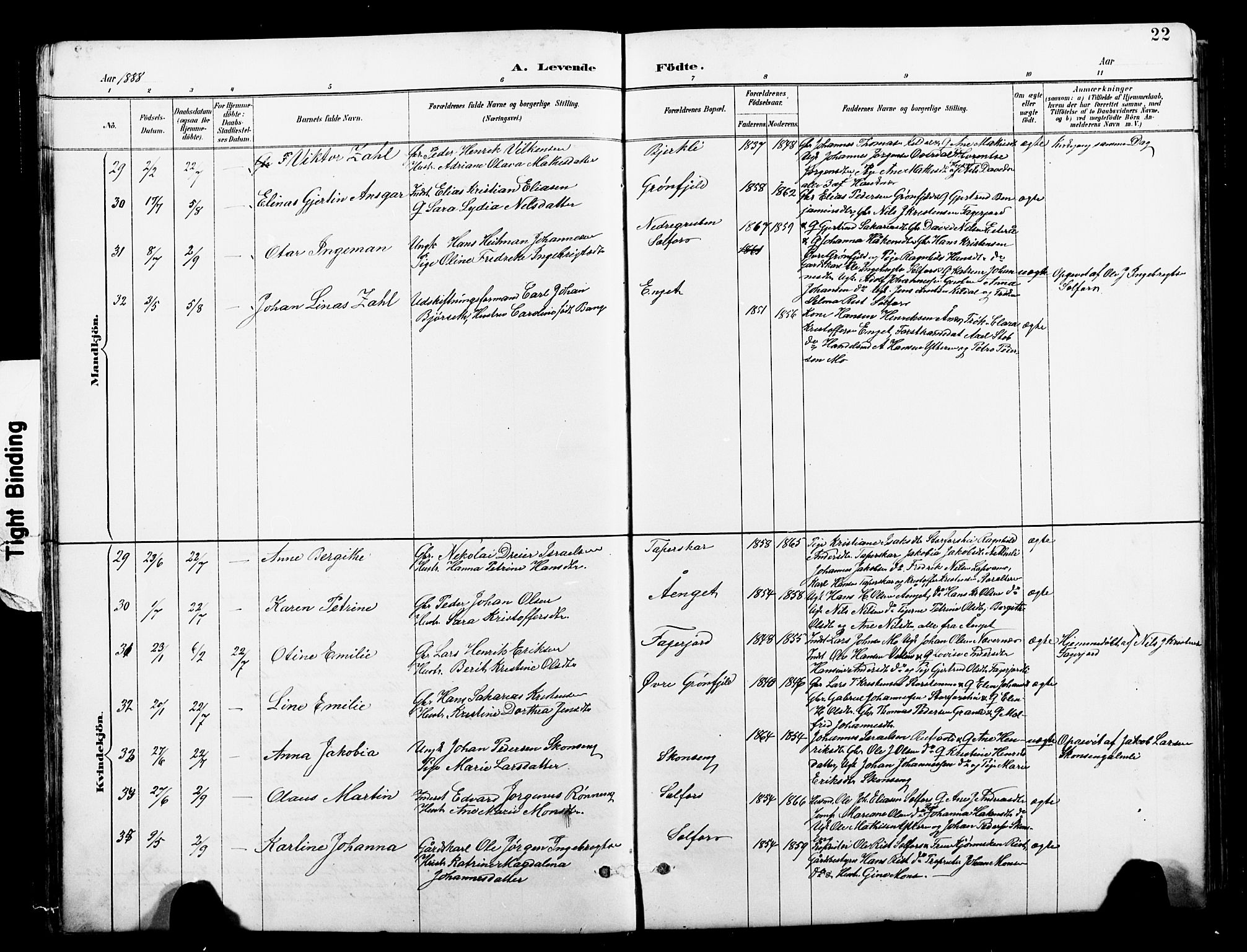 Ministerialprotokoller, klokkerbøker og fødselsregistre - Nordland, AV/SAT-A-1459/827/L0421: Parish register (copy) no. 827C10, 1887-1906, p. 22