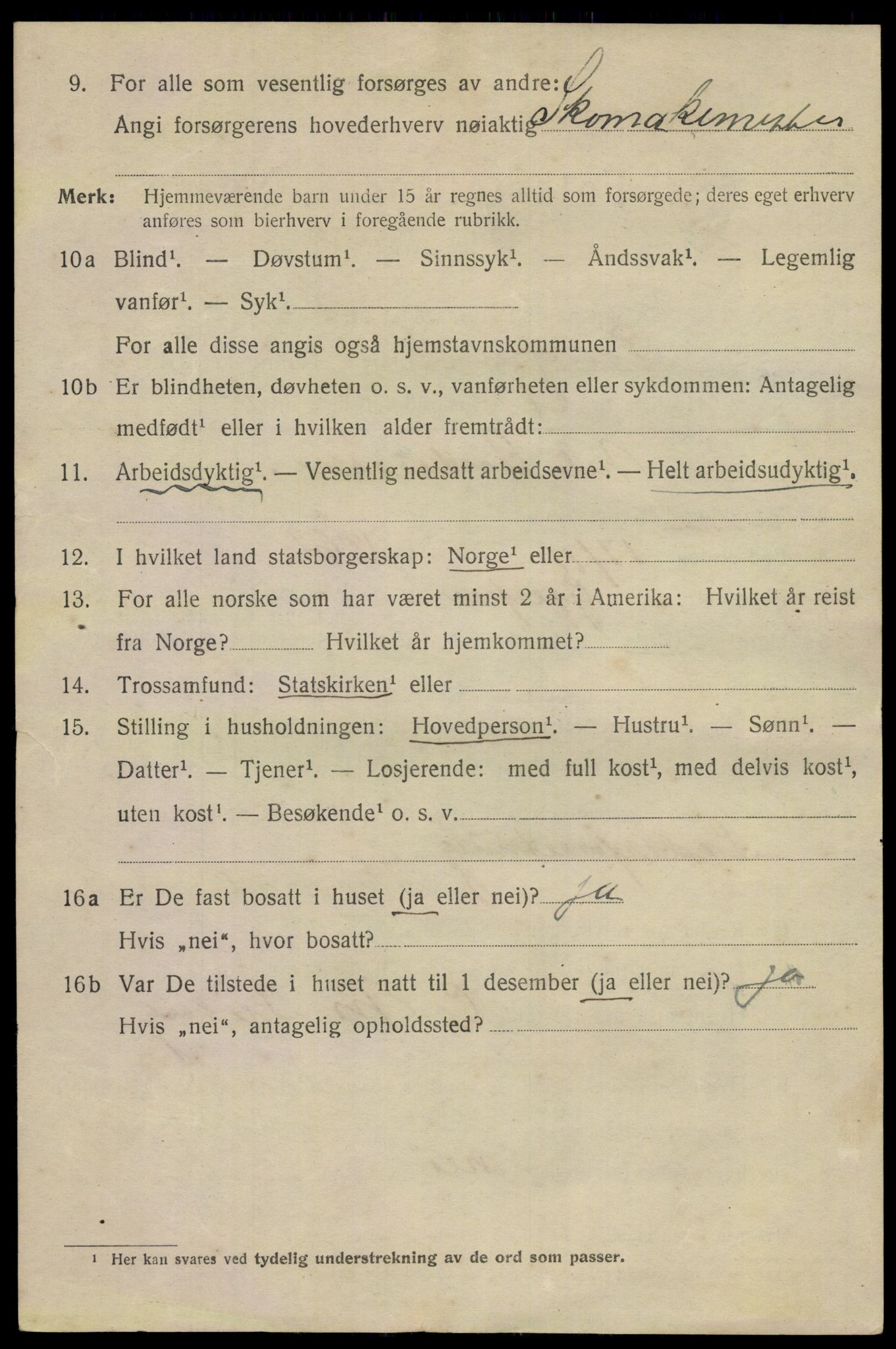 SAKO, 1920 census for Porsgrunn, 1920, p. 22342