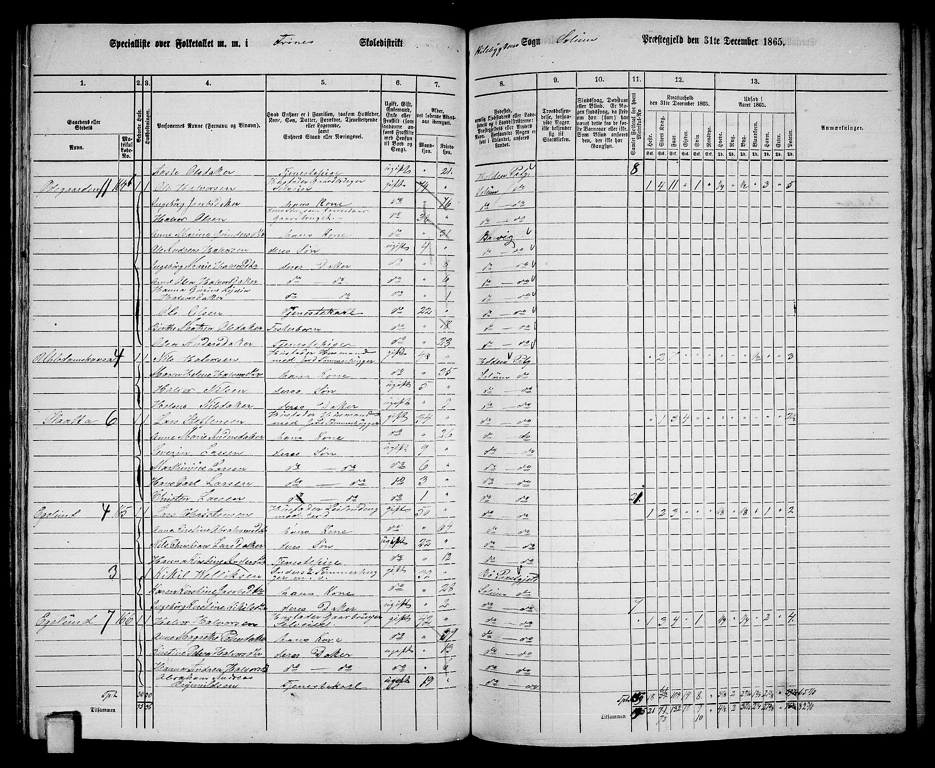 RA, 1865 census for Solum, 1865, p. 142