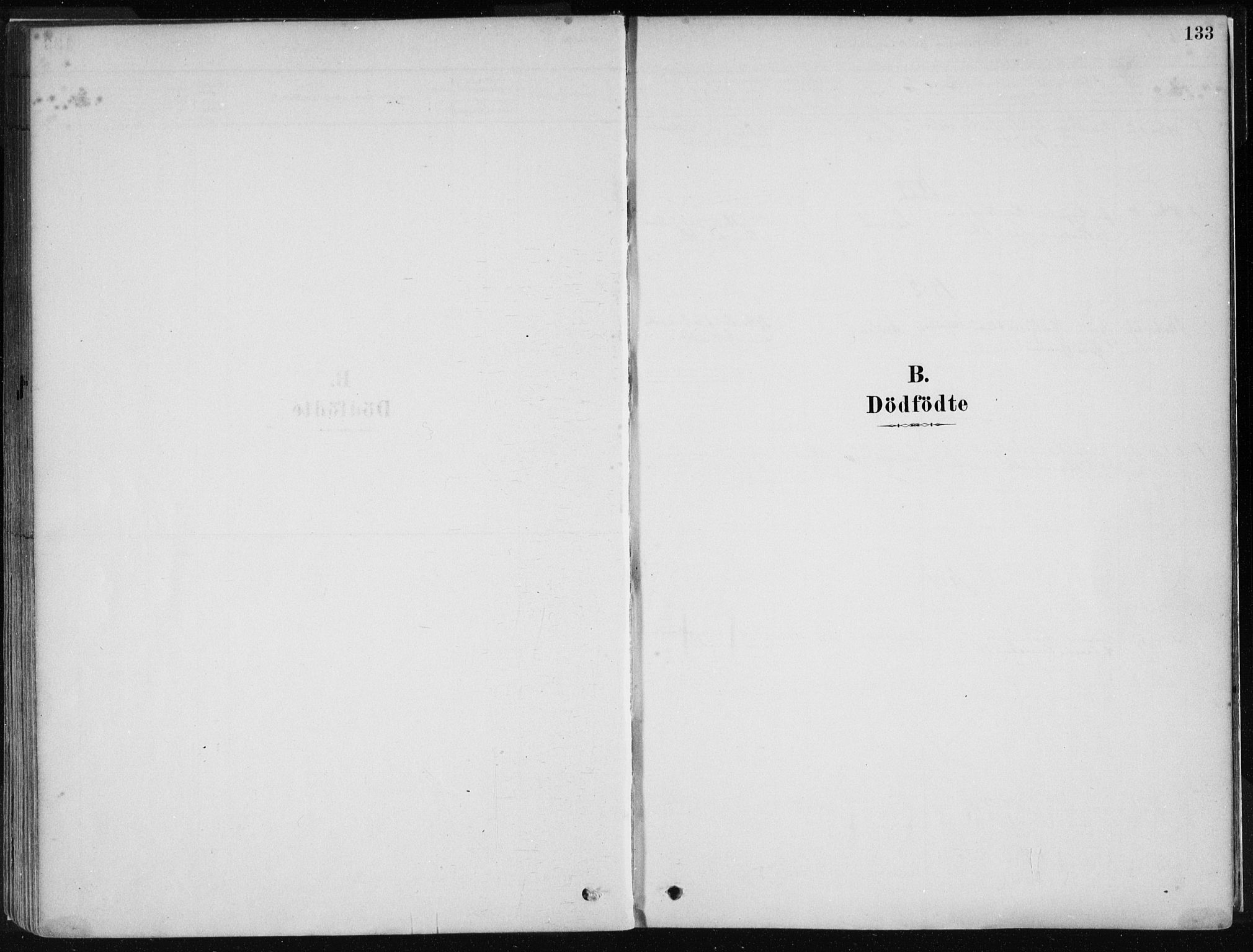 Stord sokneprestembete, SAB/A-78201/H/Haa: Parish register (official) no. B 2, 1878-1913, p. 133