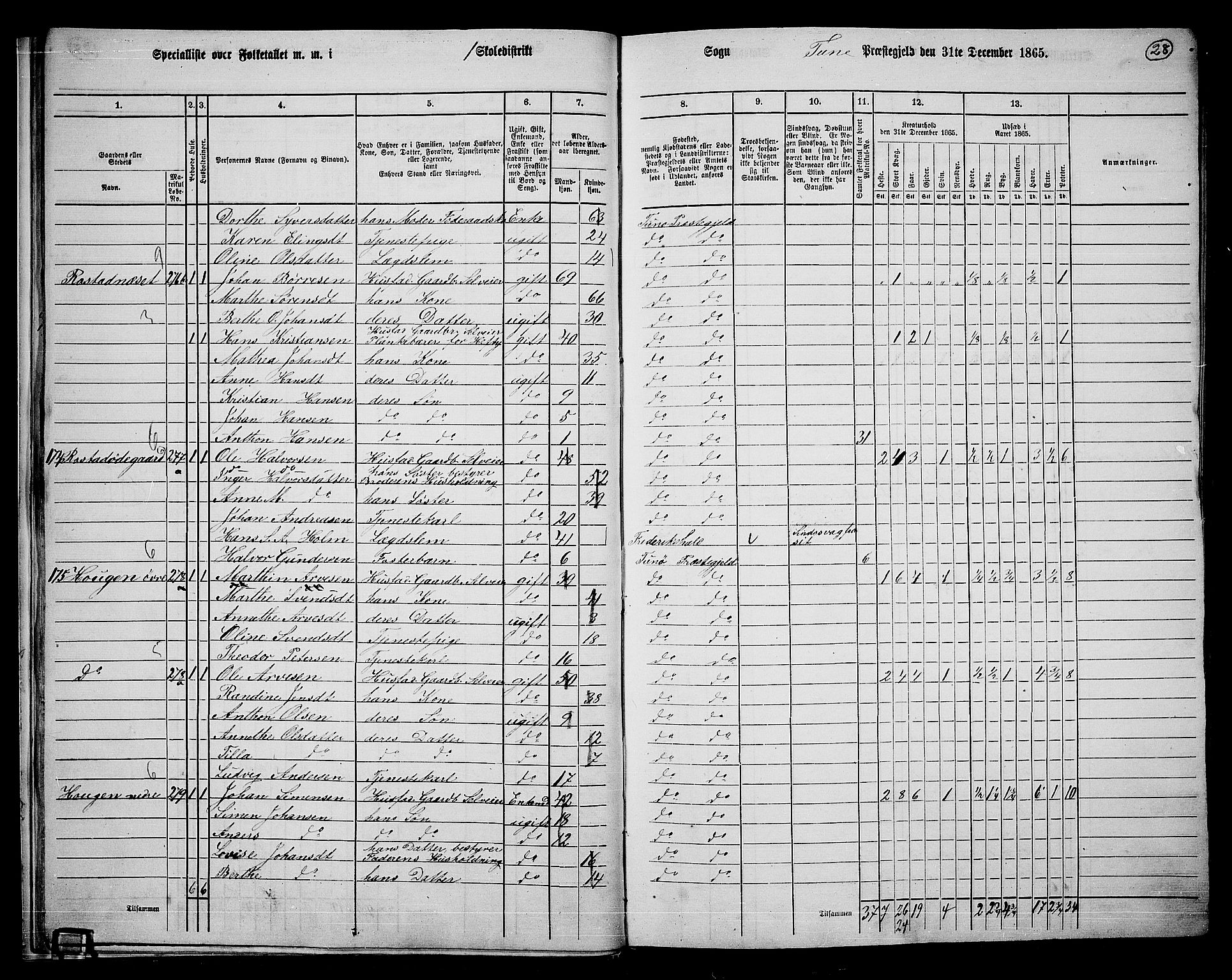 RA, 1865 census for Tune, 1865, p. 25