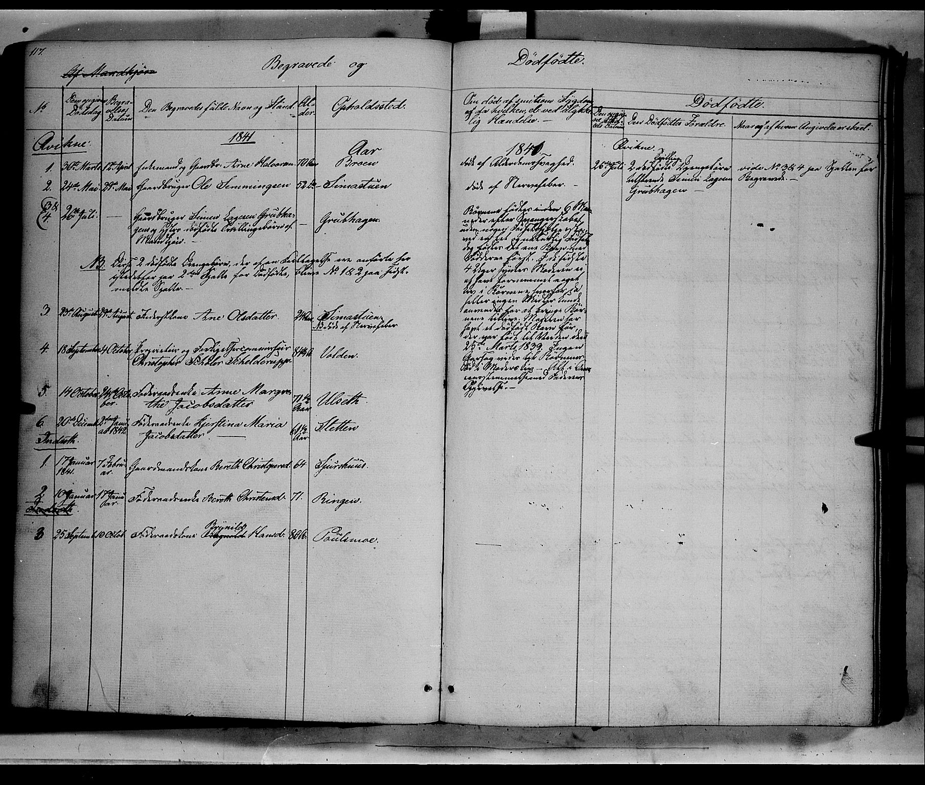 Kvikne prestekontor, SAH/PREST-064/H/Ha/Haa/L0005: Parish register (official) no. 5, 1841-1862, p. 117