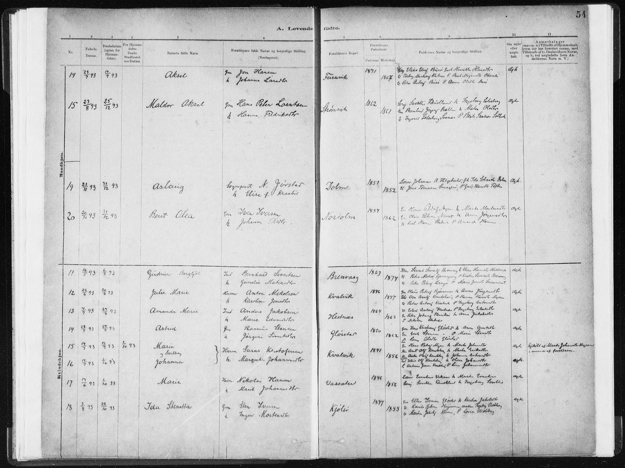 Ministerialprotokoller, klokkerbøker og fødselsregistre - Sør-Trøndelag, SAT/A-1456/634/L0533: Parish register (official) no. 634A09, 1882-1901, p. 54