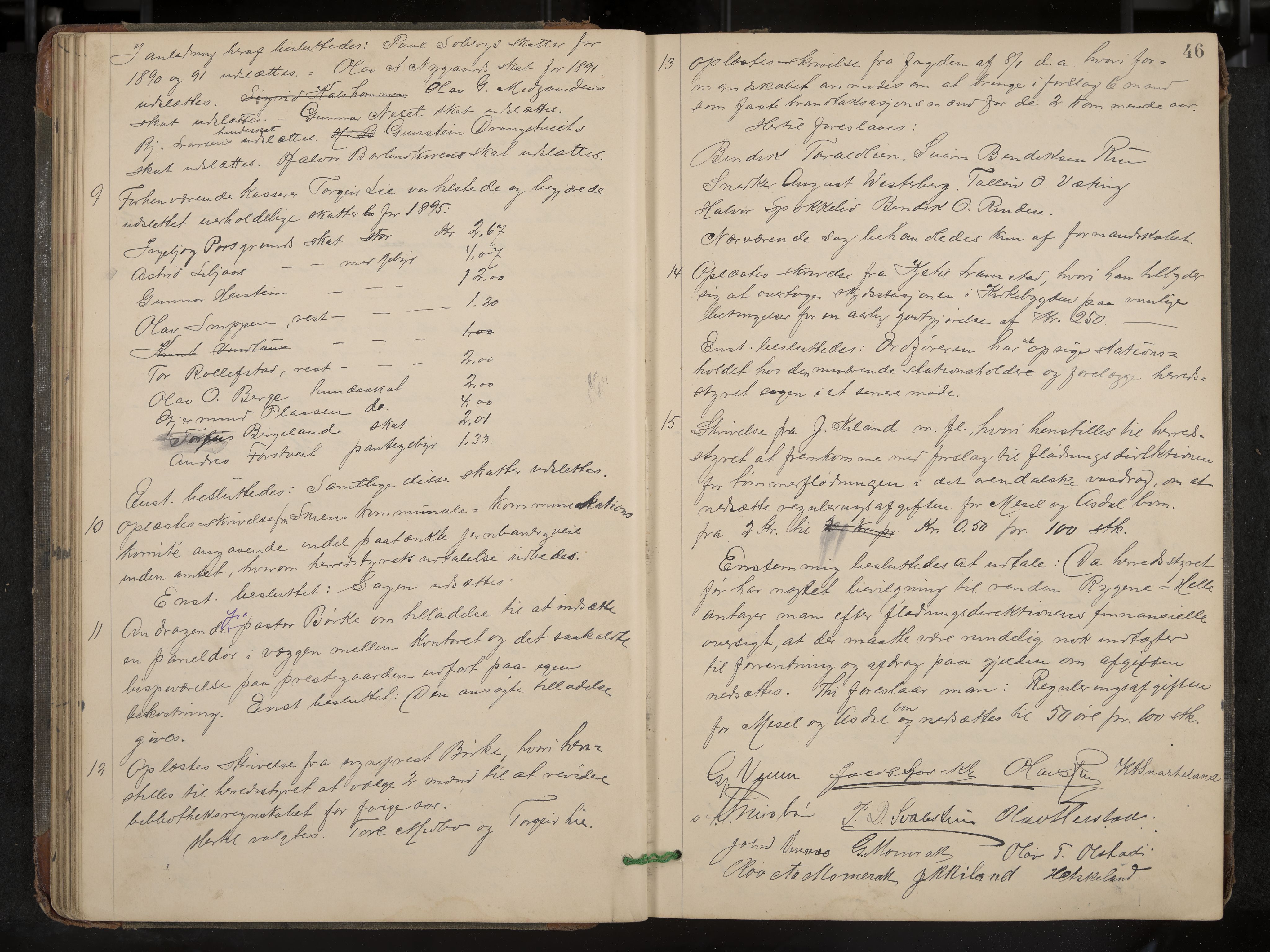 Fyresdal formannskap og sentraladministrasjon, IKAK/0831021-1/Aa/L0003: Møtebok, 1894-1903, p. 46