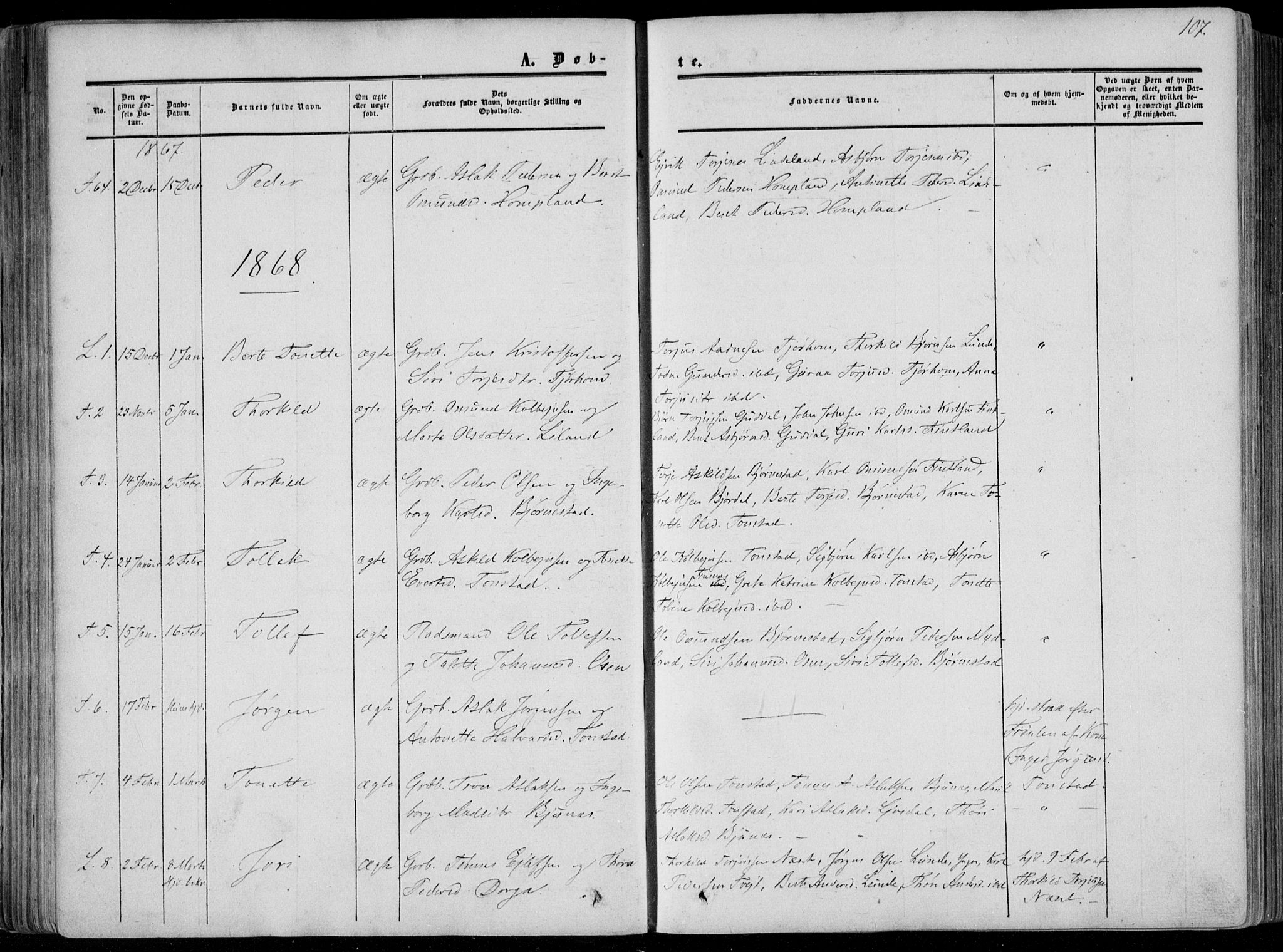 Sirdal sokneprestkontor, AV/SAK-1111-0036/F/Fa/Fab/L0002: Parish register (official) no. A 2, 1855-1874, p. 107