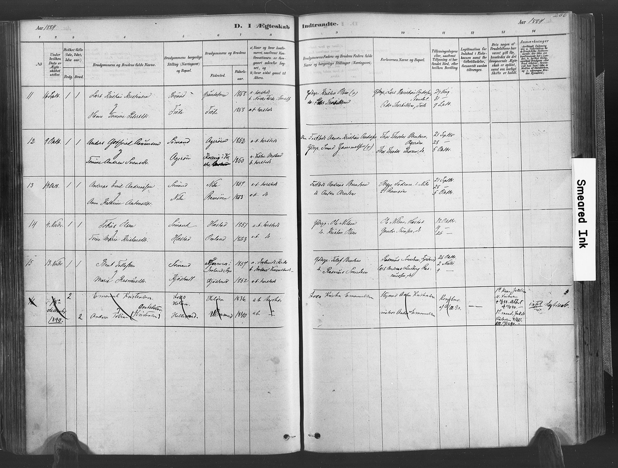 Høvåg sokneprestkontor, SAK/1111-0025/F/Fa/L0005: Parish register (official) no. A 5, 1878-1893, p. 206