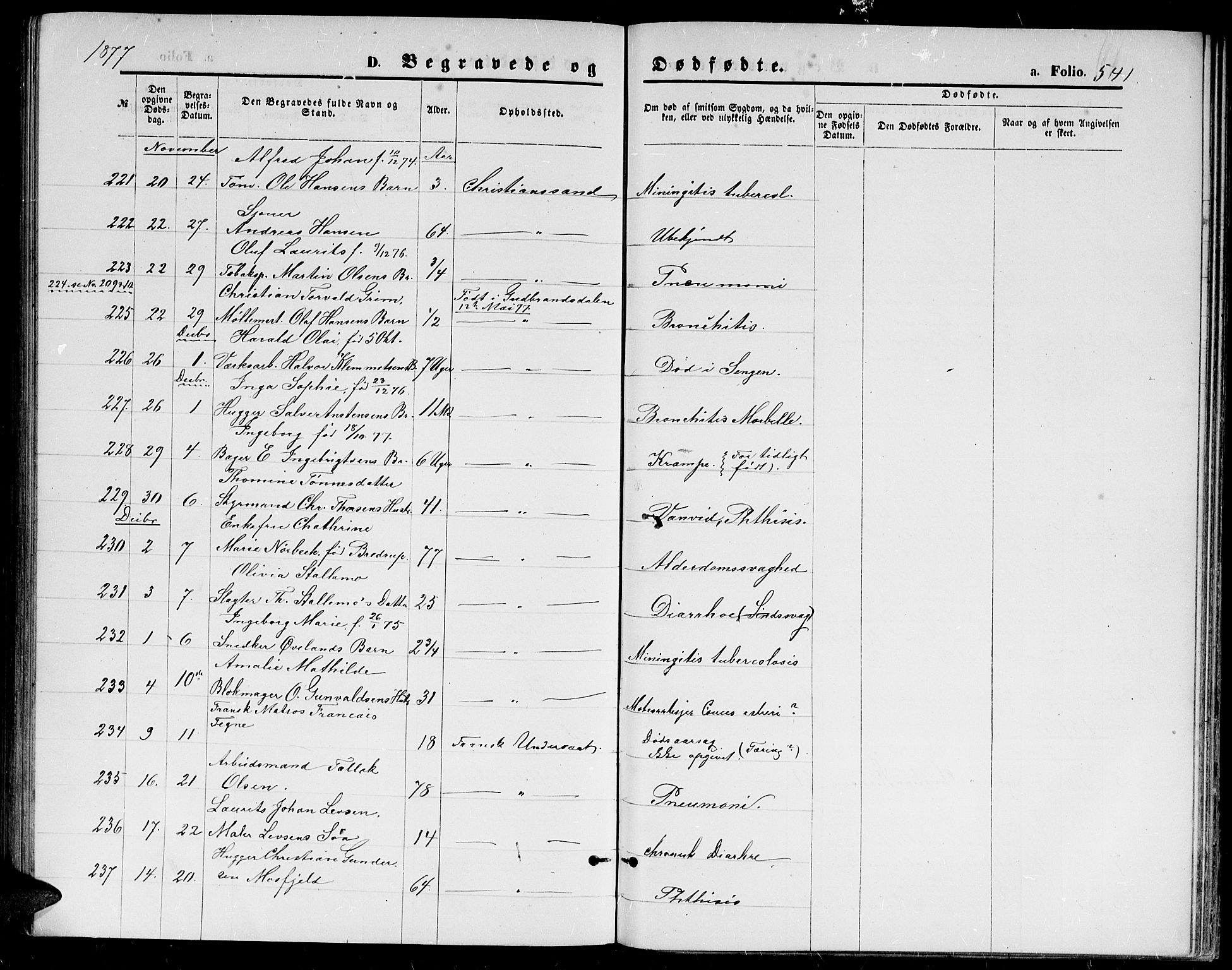 Kristiansand domprosti, AV/SAK-1112-0006/F/Fb/L0013: Parish register (copy) no. B 13, 1871-1880, p. 541