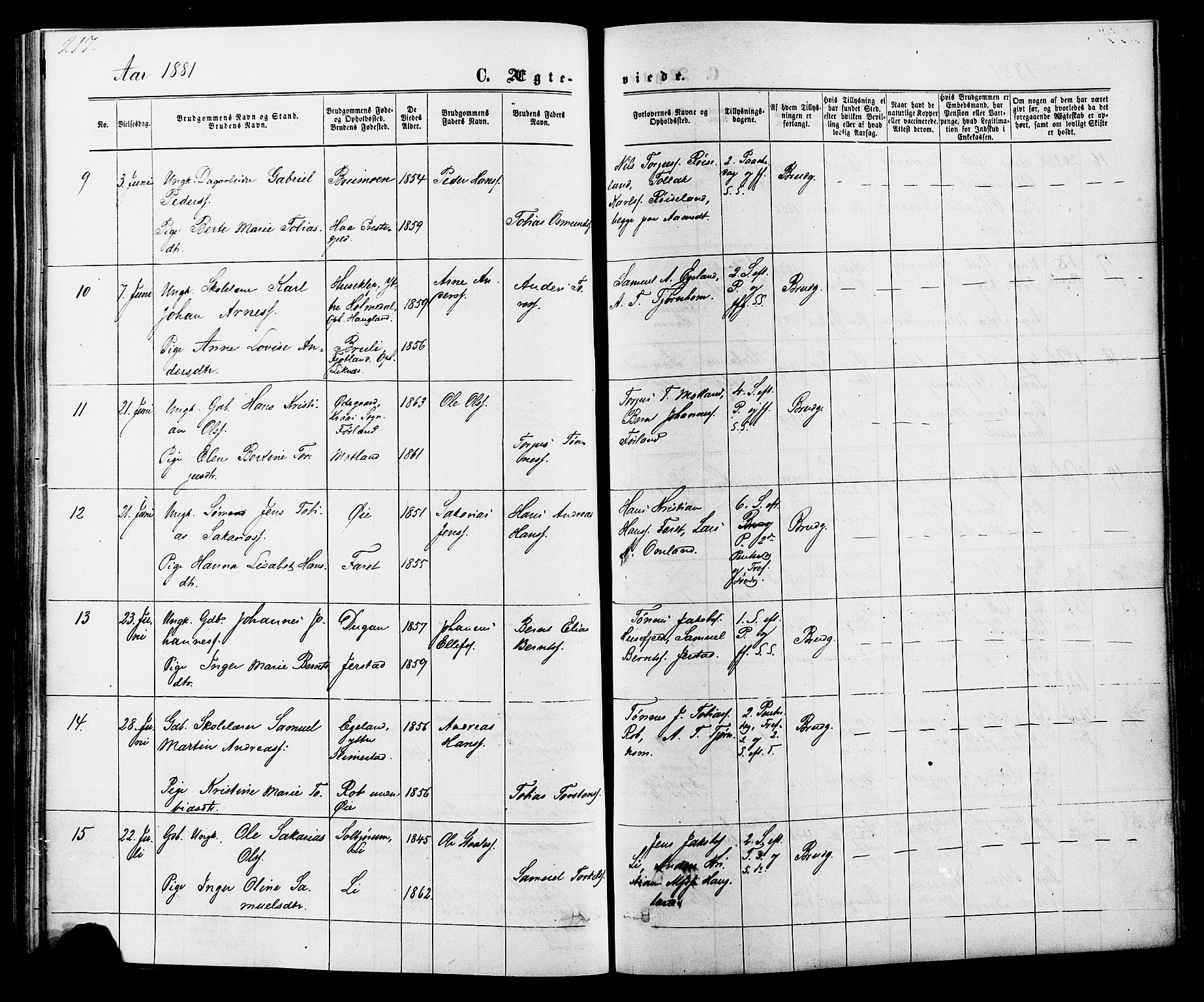 Kvinesdal sokneprestkontor, SAK/1111-0026/F/Fa/Fab/L0007: Parish register (official) no. A 7, 1870-1885, p. 217