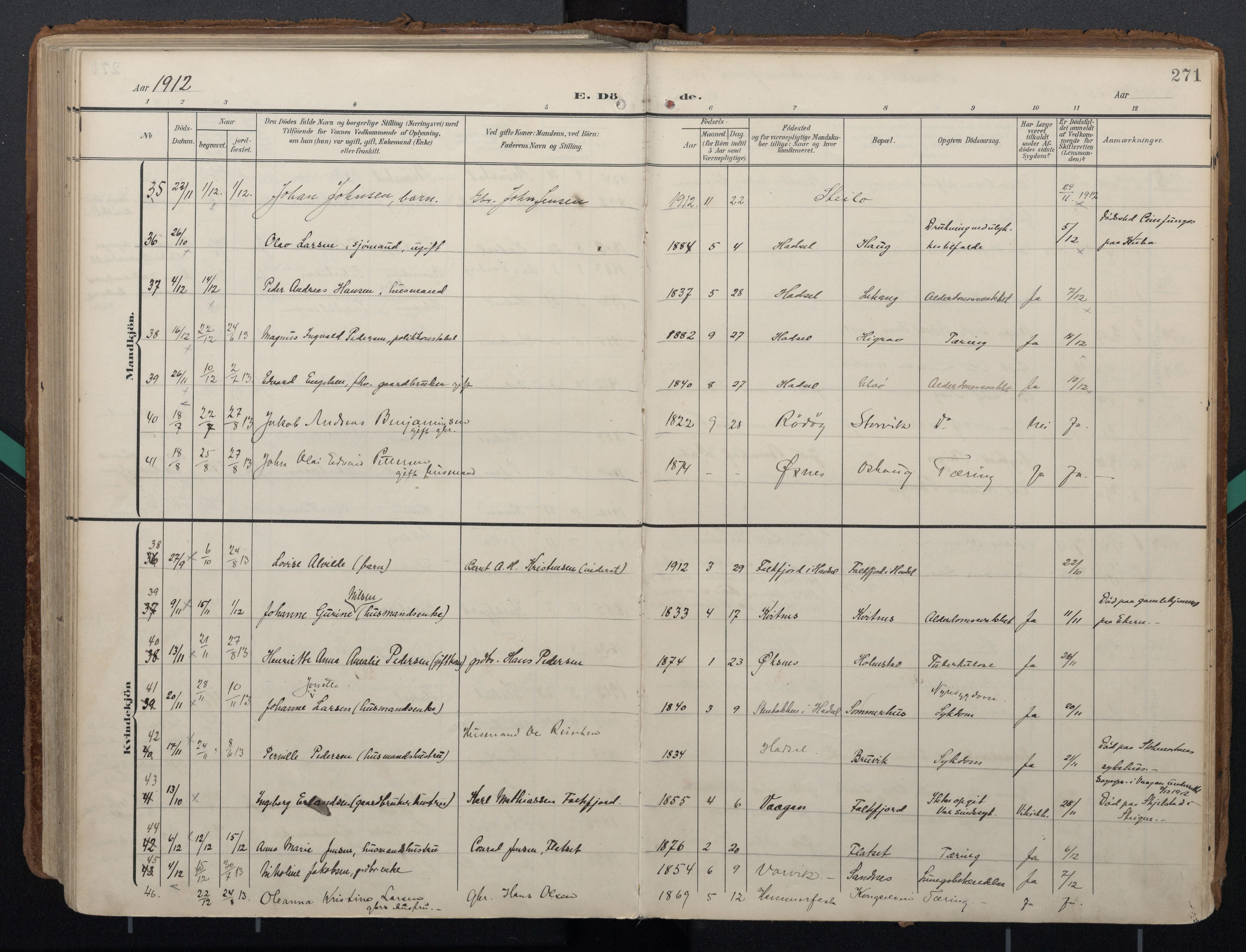 Ministerialprotokoller, klokkerbøker og fødselsregistre - Nordland, AV/SAT-A-1459/888/L1248: Parish register (official) no. 888A14, 1904-1913, p. 271