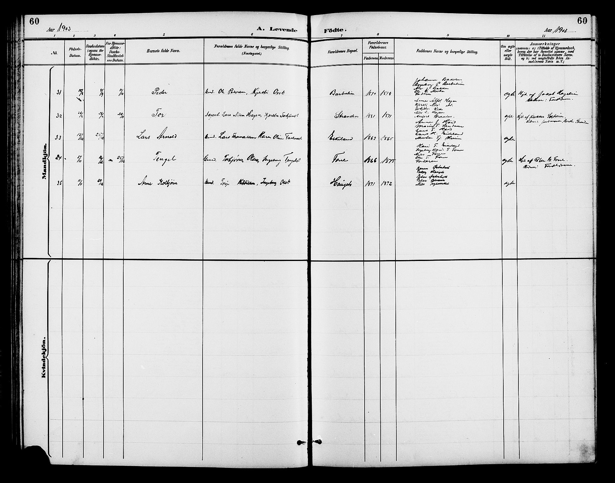Gjerstad sokneprestkontor, SAK/1111-0014/F/Fb/Fba/L0007: Parish register (copy) no. B 7, 1891-1908, p. 60
