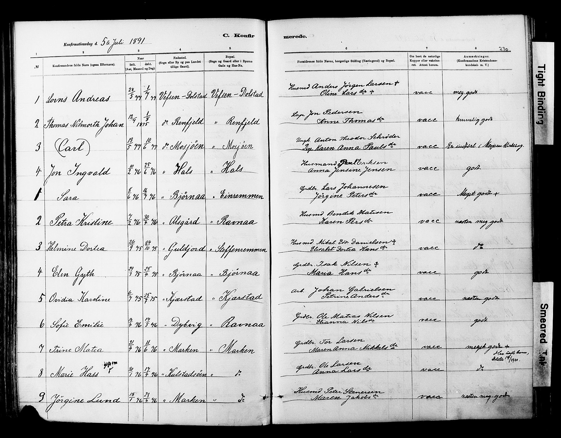 Ministerialprotokoller, klokkerbøker og fødselsregistre - Nordland, AV/SAT-A-1459/820/L0295: Parish register (official) no. 820A16, 1880-1896, p. 230