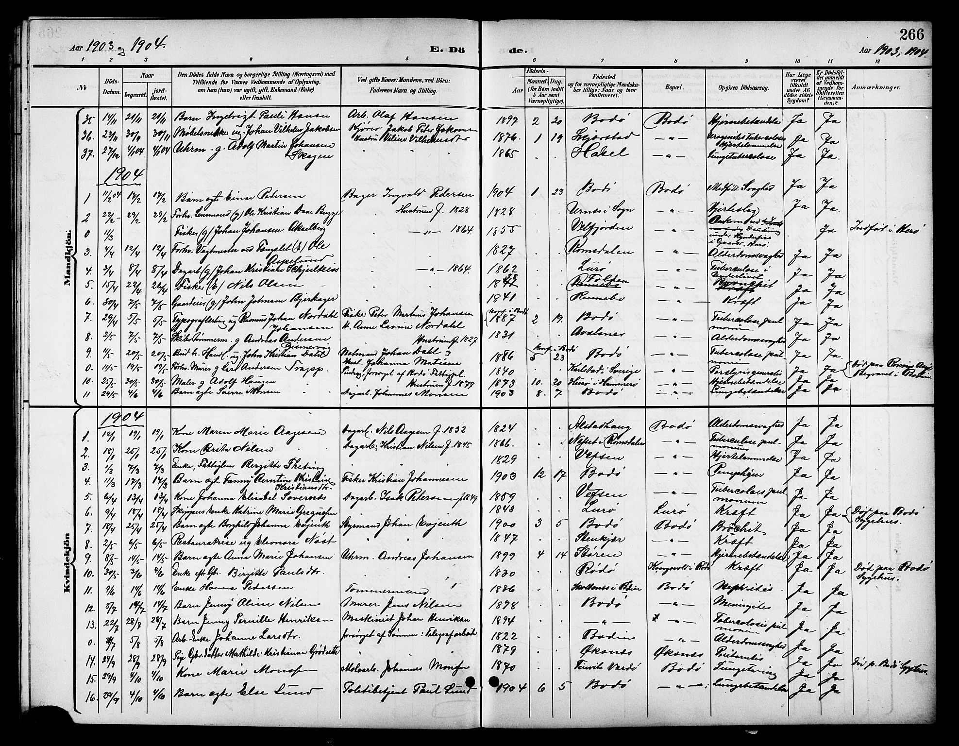 Ministerialprotokoller, klokkerbøker og fødselsregistre - Nordland, AV/SAT-A-1459/801/L0033: Parish register (copy) no. 801C08, 1898-1910, p. 266