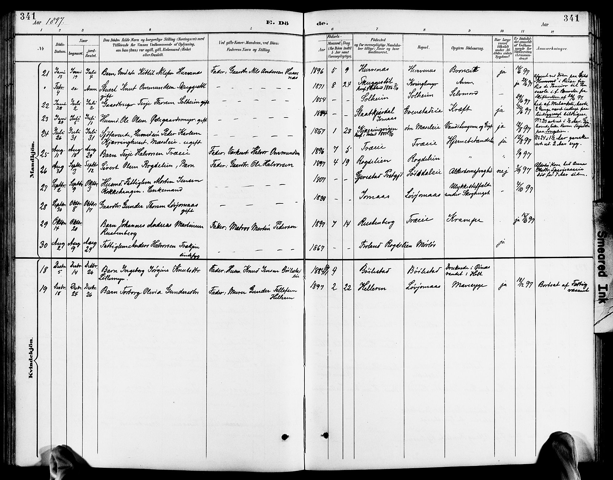 Froland sokneprestkontor, SAK/1111-0013/F/Fb/L0010: Parish register (copy) no. B 10, 1893-1920, p. 341