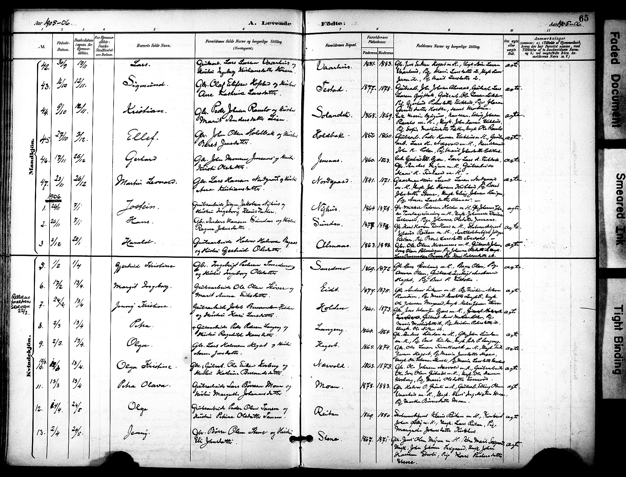 Ministerialprotokoller, klokkerbøker og fødselsregistre - Sør-Trøndelag, SAT/A-1456/686/L0984: Parish register (official) no. 686A02, 1891-1906, p. 65