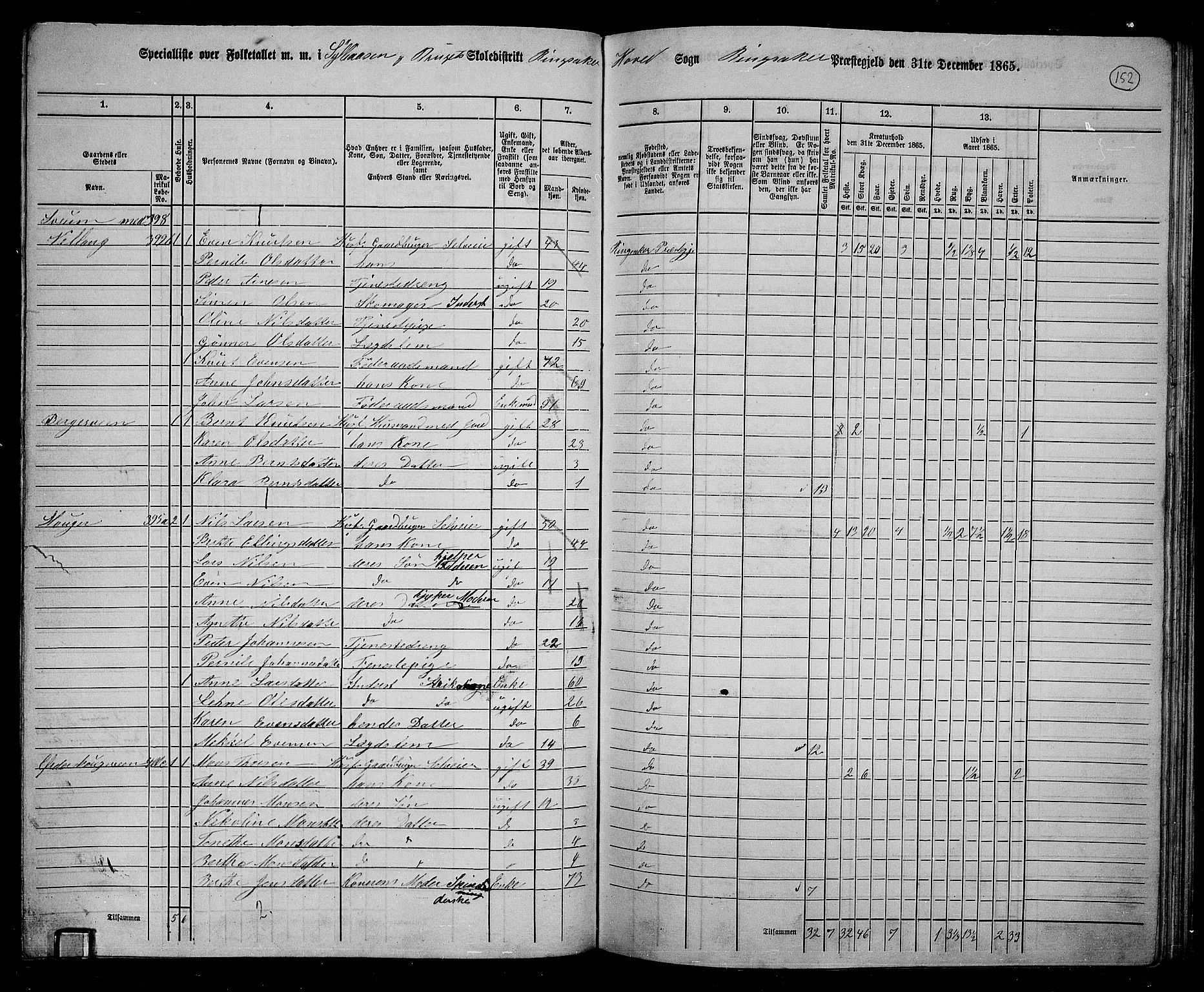 RA, 1865 census for Ringsaker, 1865, p. 396