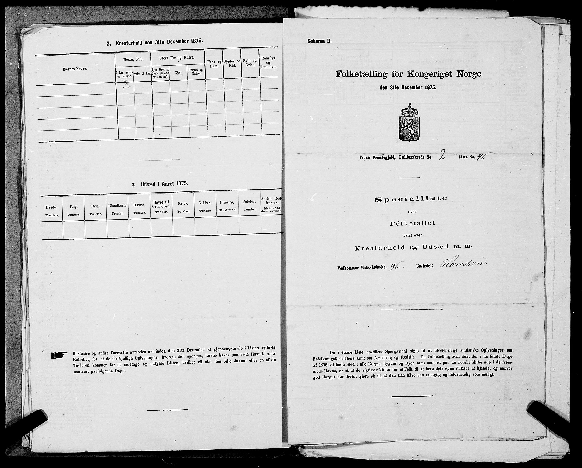 SAST, 1875 census for 1141P Finnøy, 1875, p. 251