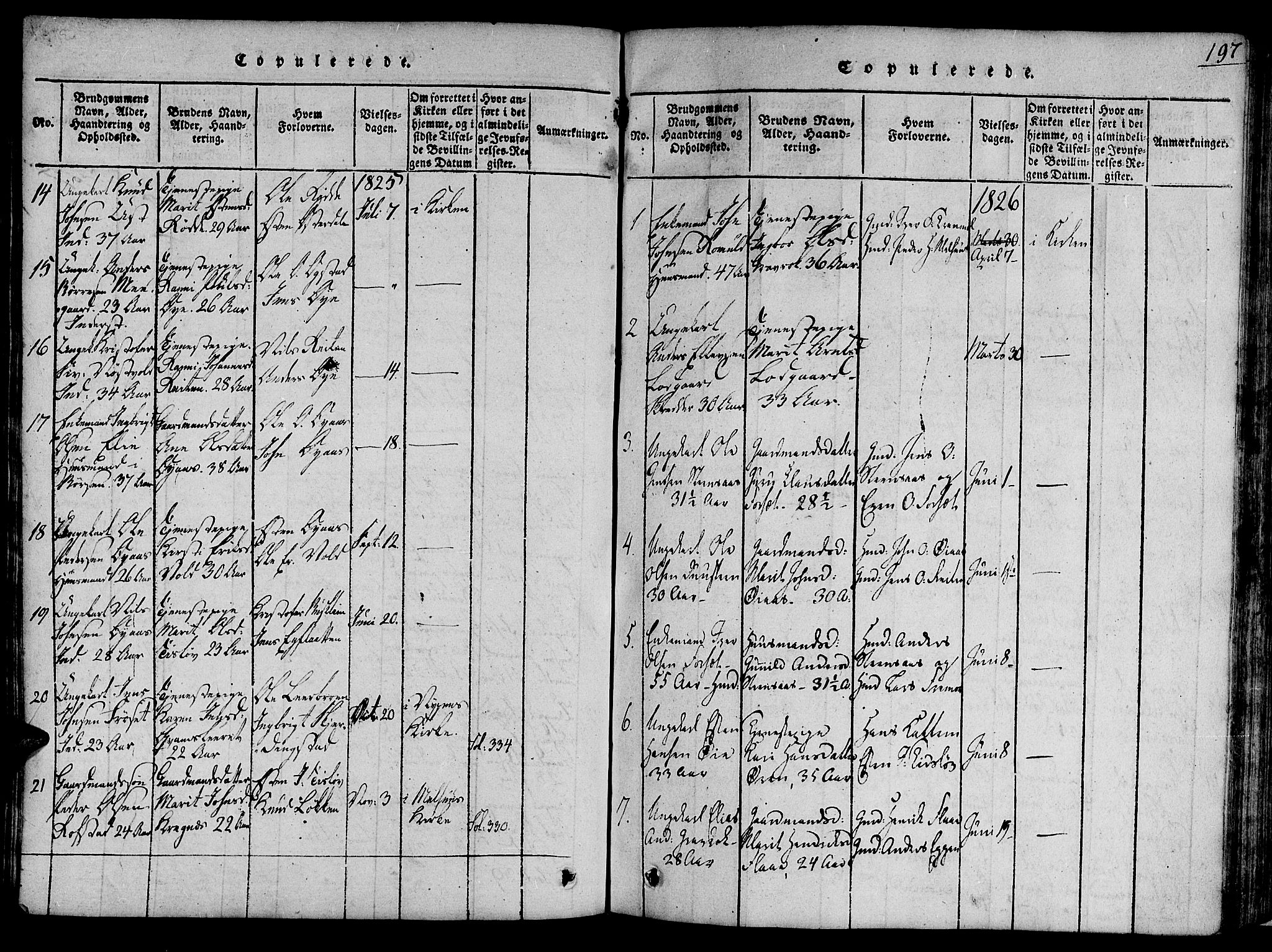 Ministerialprotokoller, klokkerbøker og fødselsregistre - Sør-Trøndelag, SAT/A-1456/691/L1065: Parish register (official) no. 691A03 /1, 1816-1826, p. 197