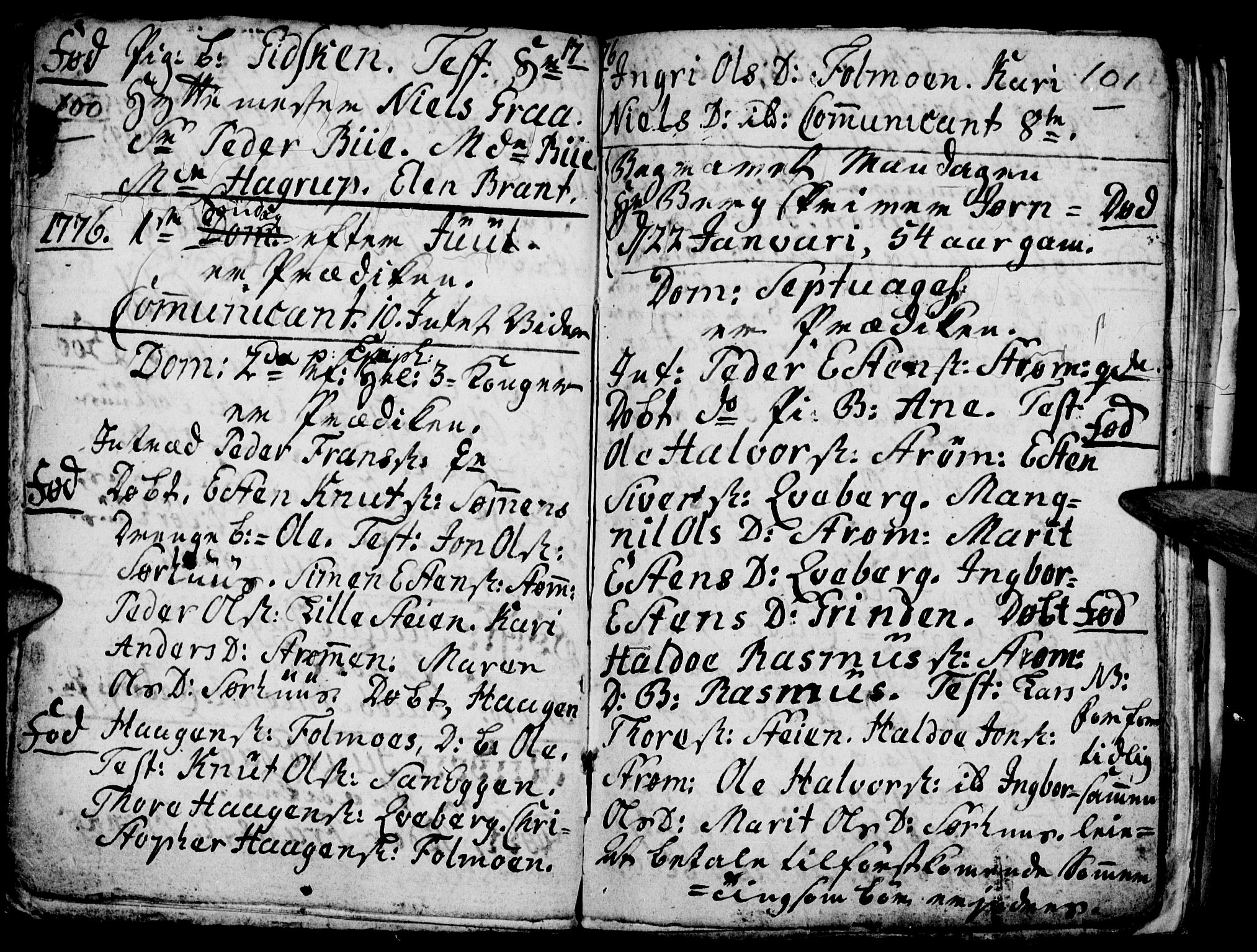 Tynset prestekontor, SAH/PREST-058/H/Ha/Hab/L0009: Parish register (official) no. 9, 1769-1781, p. 100-101