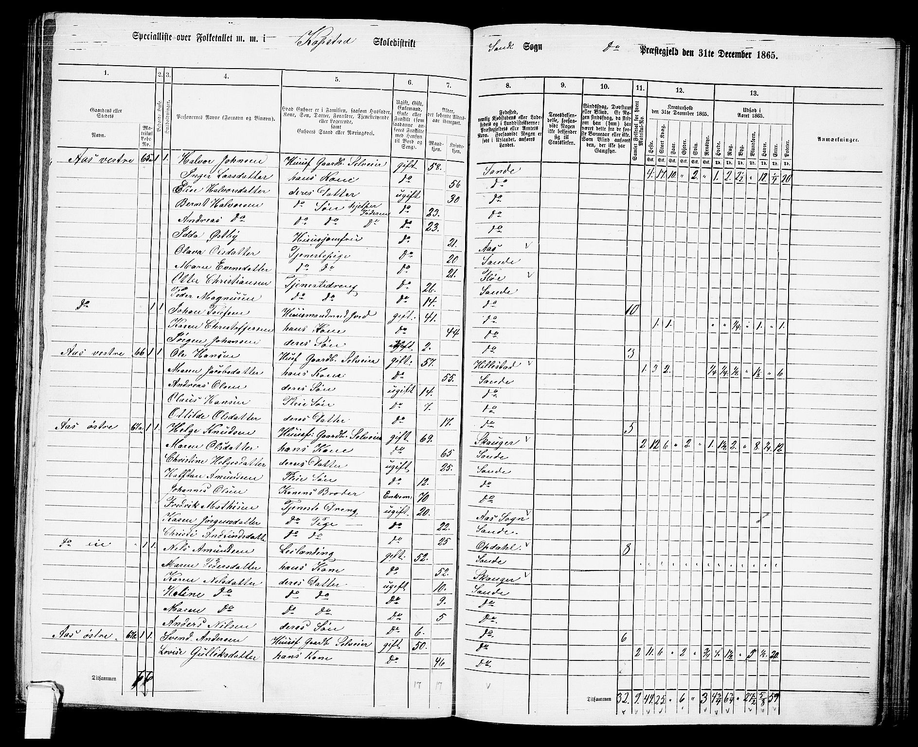 RA, 1865 census for Sande, 1865, p. 59