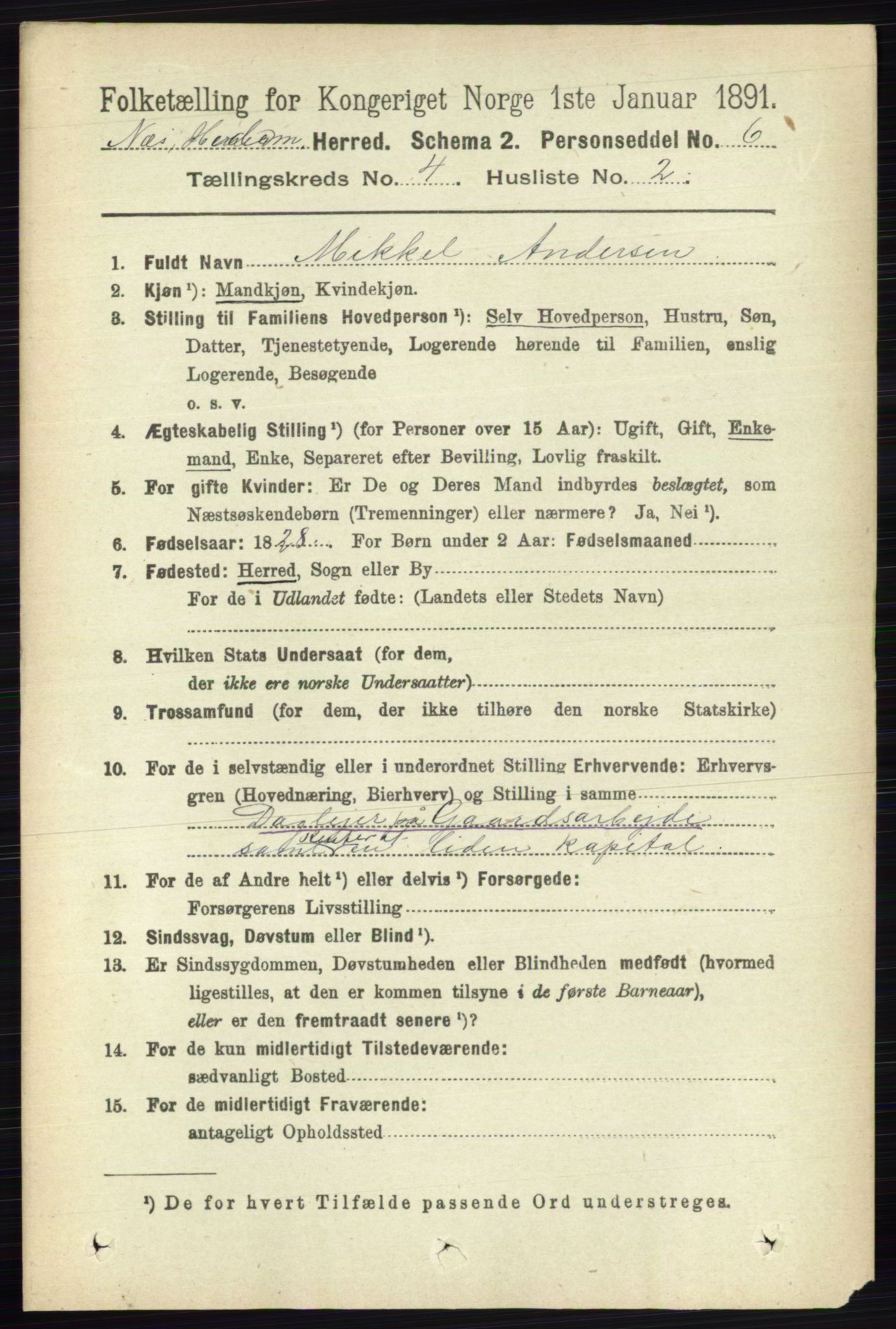 RA, 1891 census for 0411 Nes, 1891, p. 2053