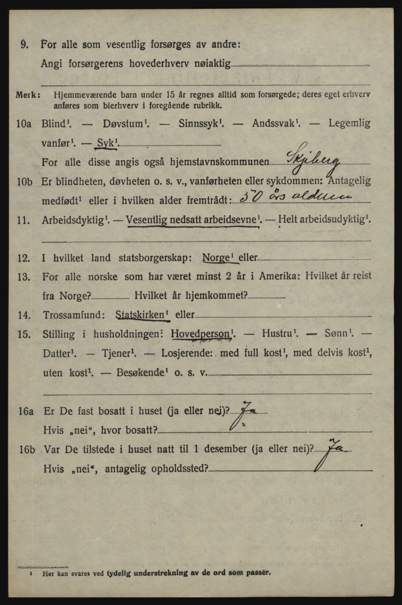 SAO, 1920 census for Skjeberg, 1920, p. 15086