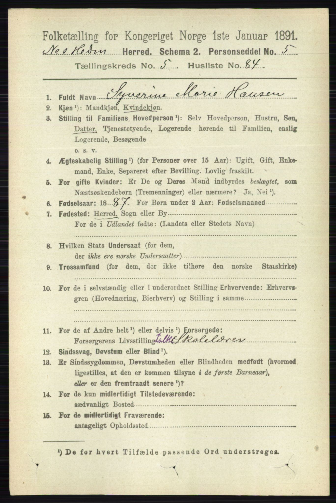 RA, 1891 census for 0411 Nes, 1891, p. 3154