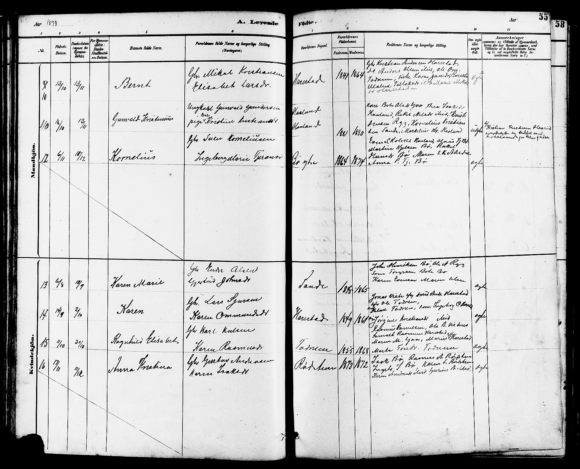 Hetland sokneprestkontor, SAST/A-101826/30/30BB/L0006: Parish register (copy) no. B 6, 1878-1921, p. 55