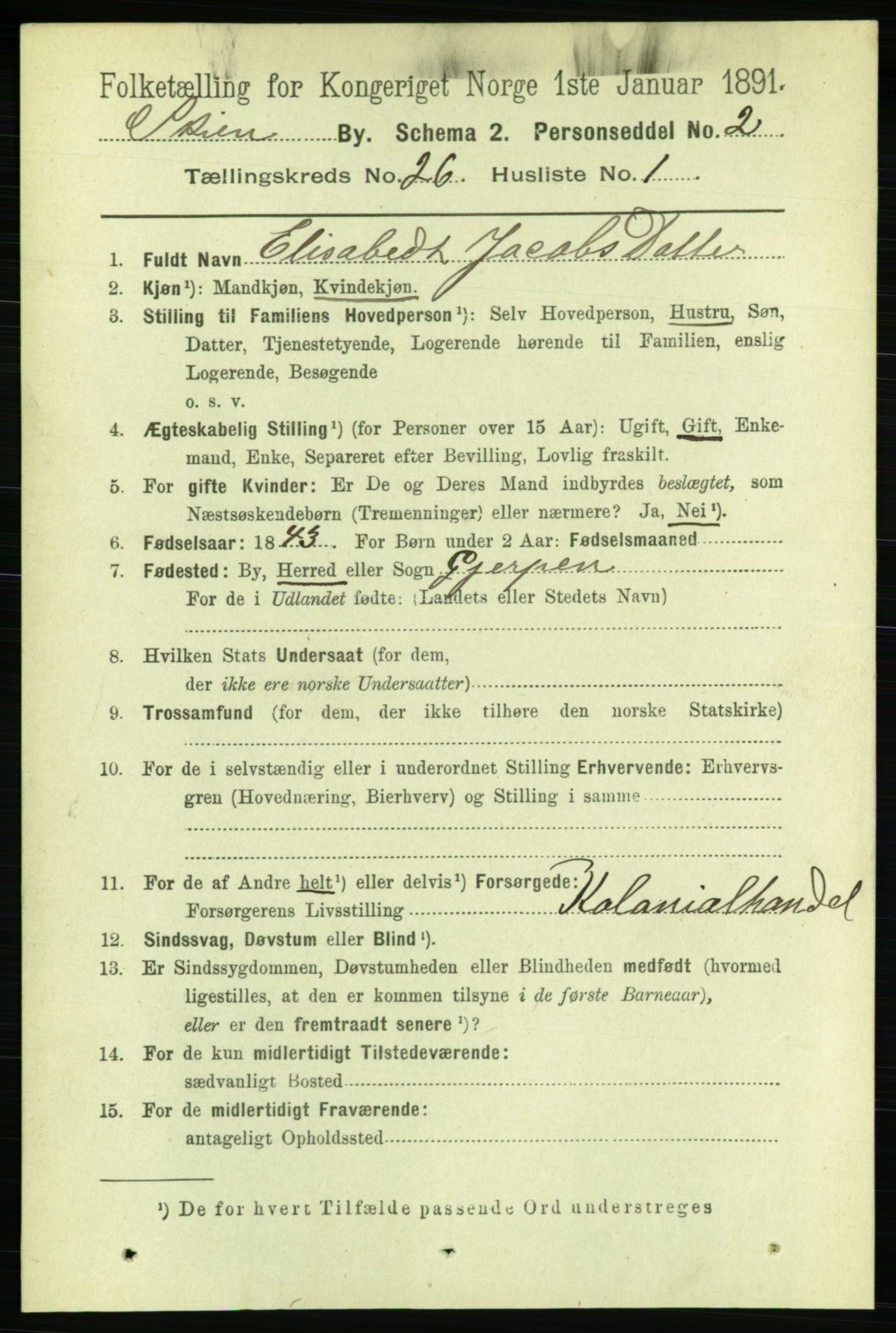 RA, 1891 census for 0806 Skien, 1891, p. 6248