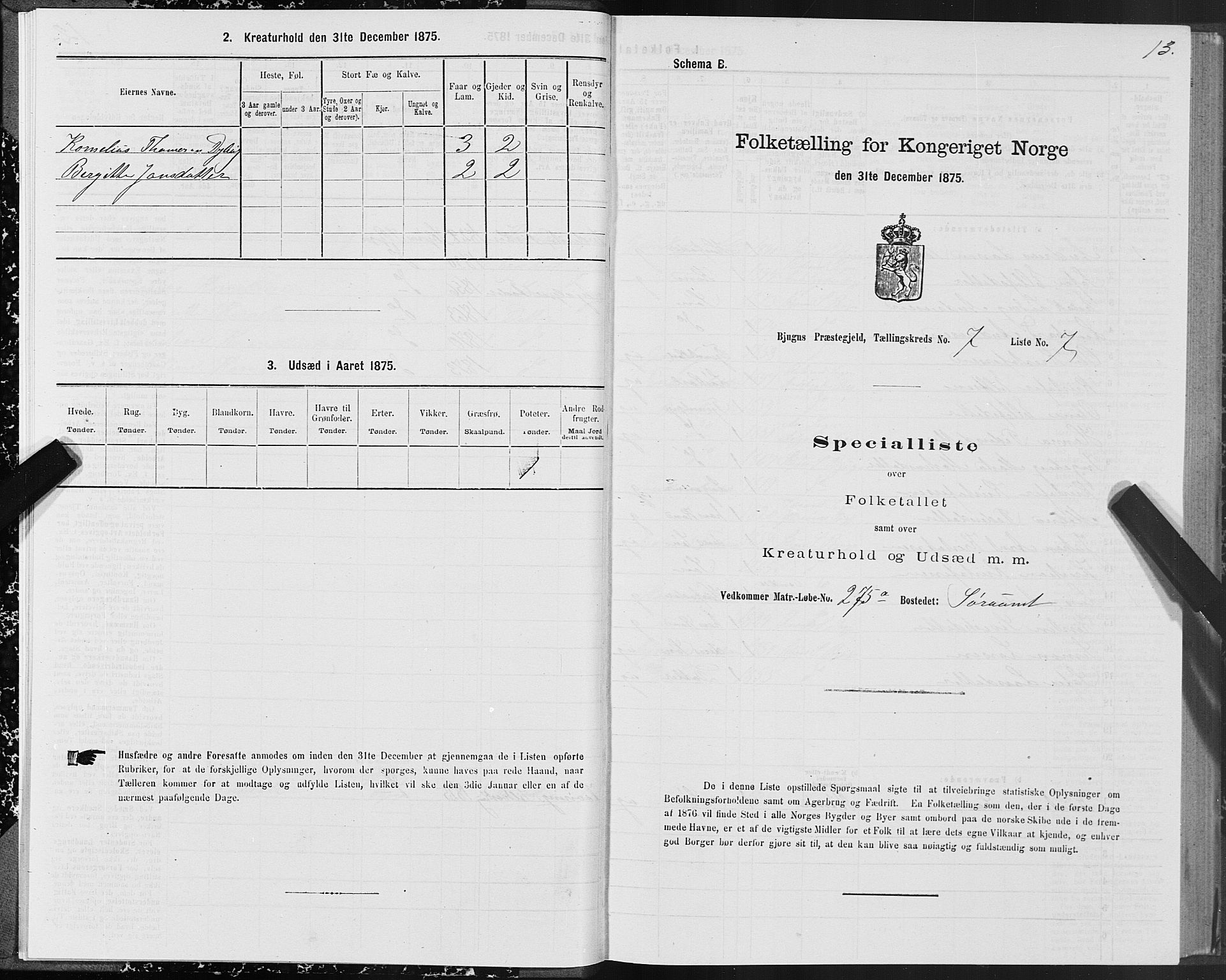 SAT, 1875 census for 1627P Bjugn, 1875, p. 4013