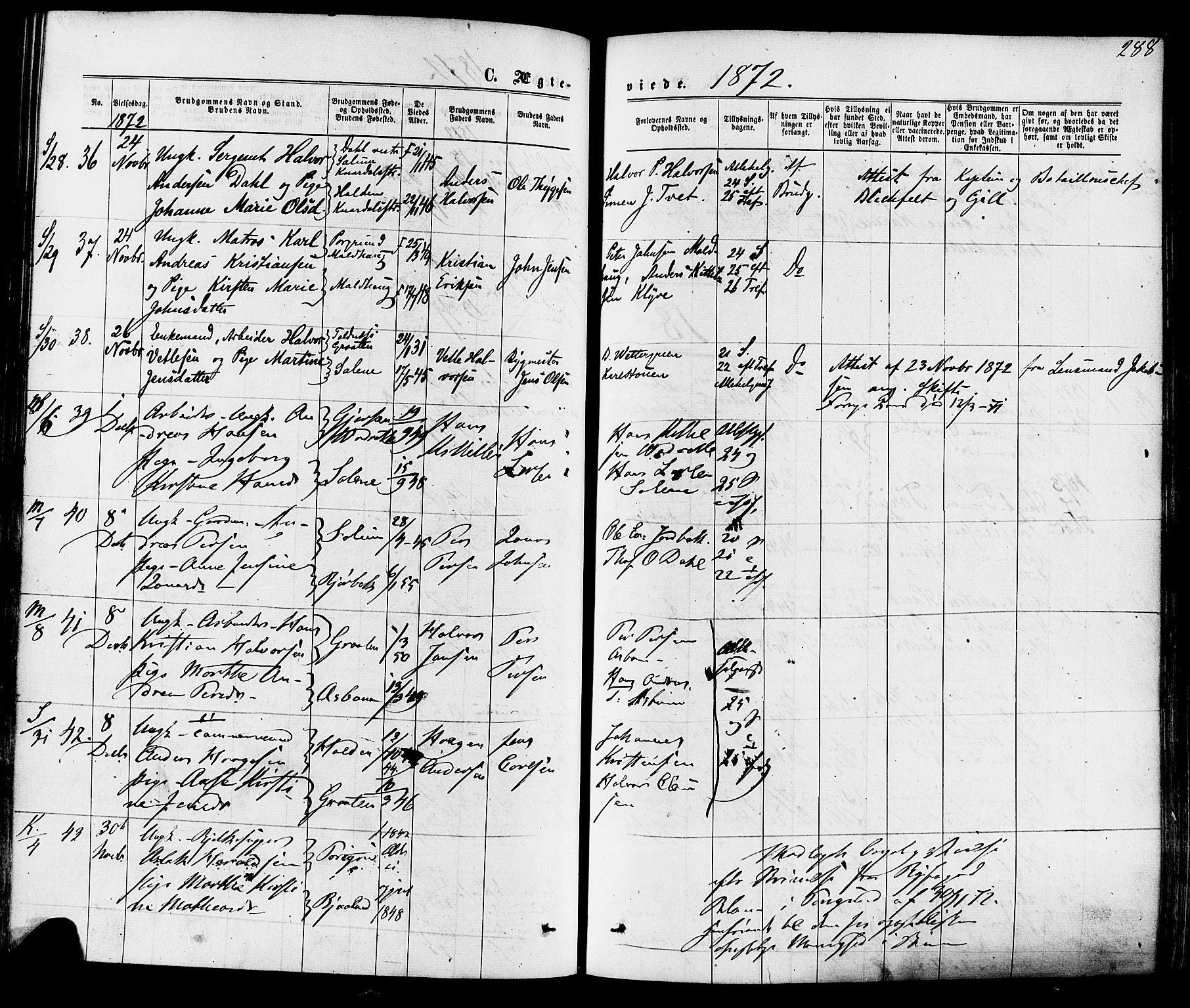 Solum kirkebøker, SAKO/A-306/F/Fa/L0008: Parish register (official) no. I 8, 1865-1876, p. 288