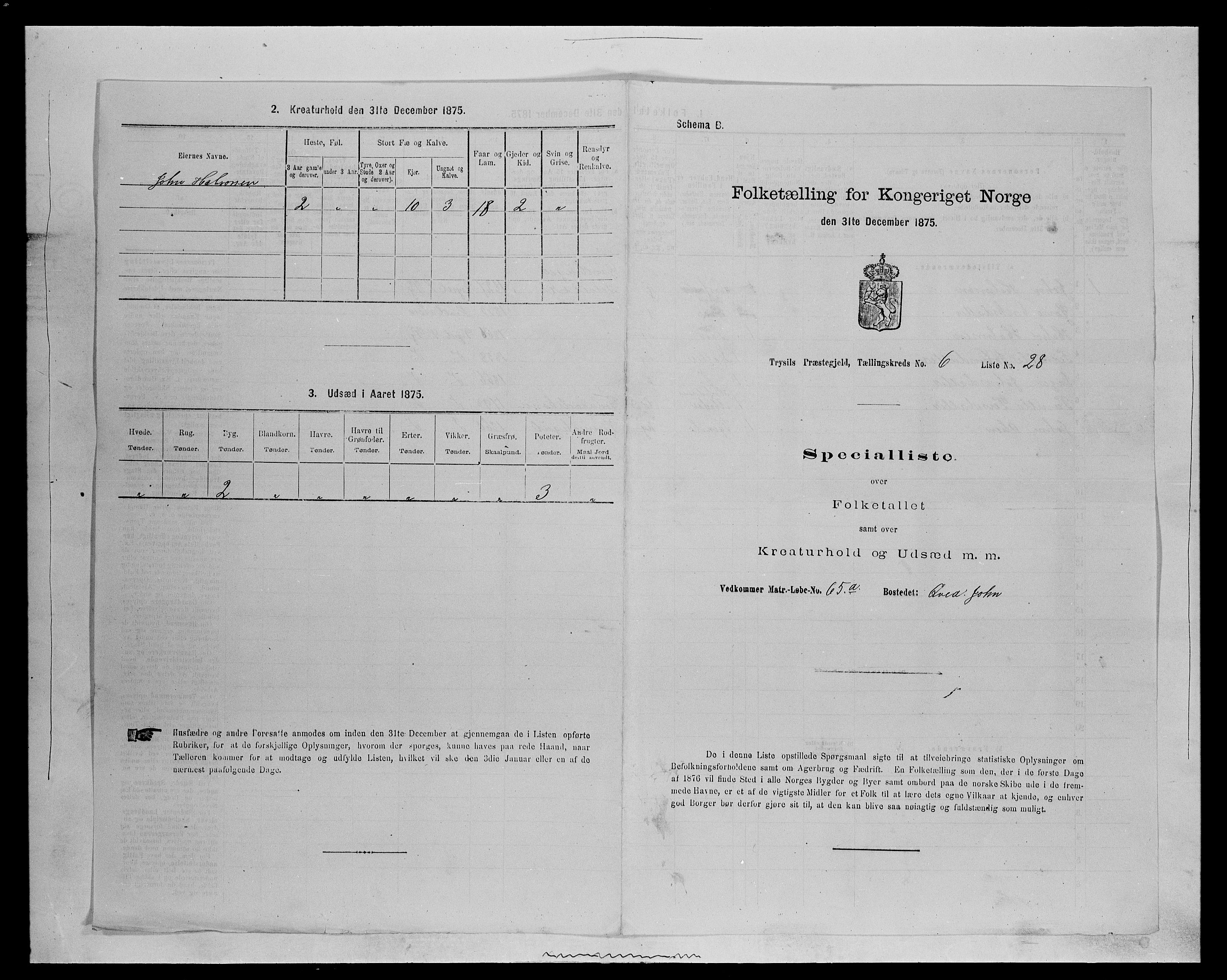 SAH, 1875 census for 0428P Trysil, 1875, p. 775