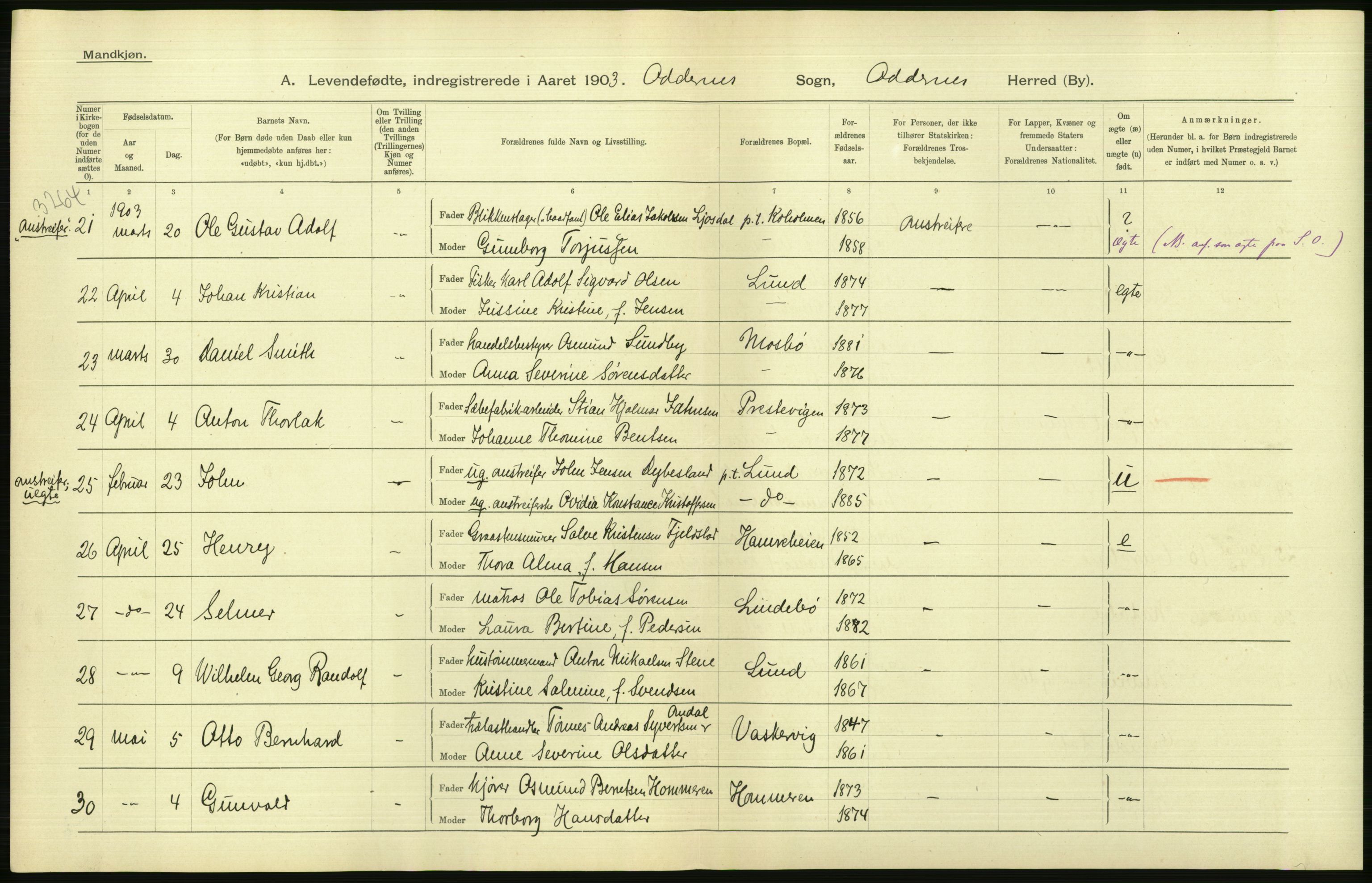 Statistisk sentralbyrå, Sosiodemografiske emner, Befolkning, AV/RA-S-2228/D/Df/Dfa/Dfaa/L0011: Lister og Mandal amt: Fødte, gifte, døde, 1903, p. 190