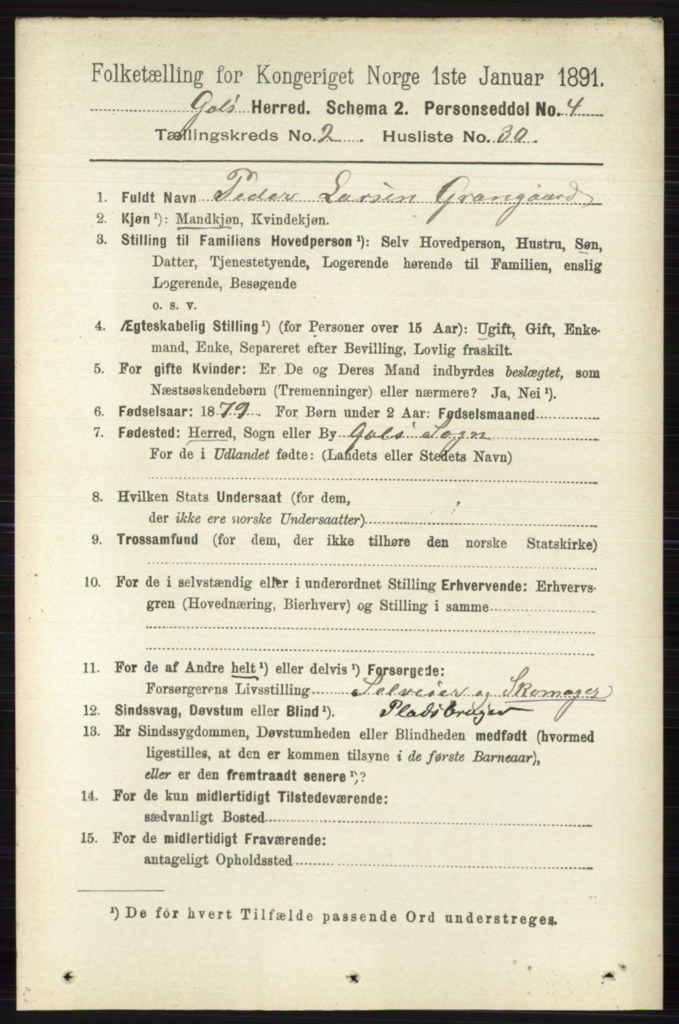 RA, 1891 census for 0617 Gol og Hemsedal, 1891, p. 877