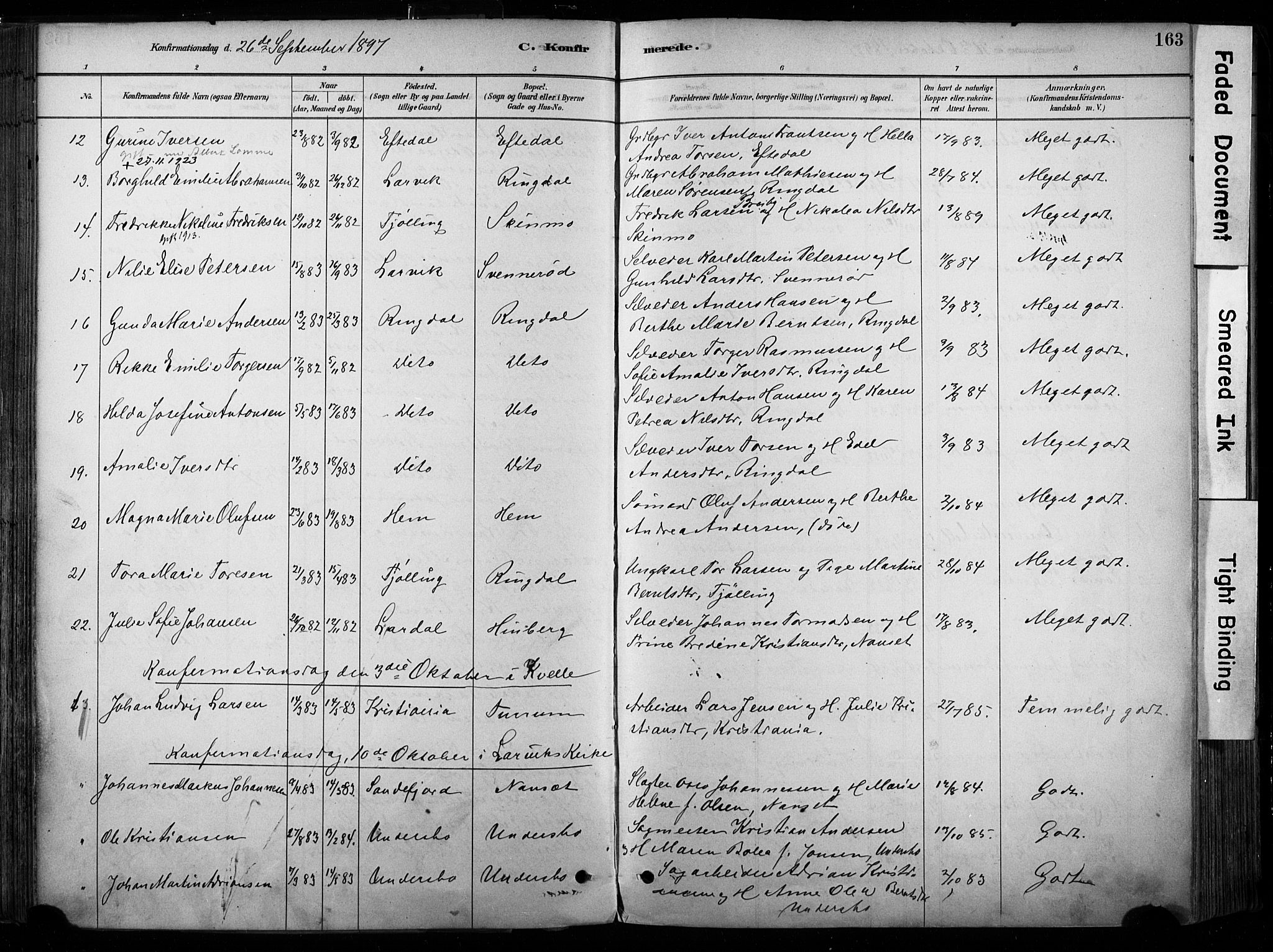 Hedrum kirkebøker, AV/SAKO-A-344/F/Fa/L0009: Parish register (official) no. I 9, 1881-1903, p. 163