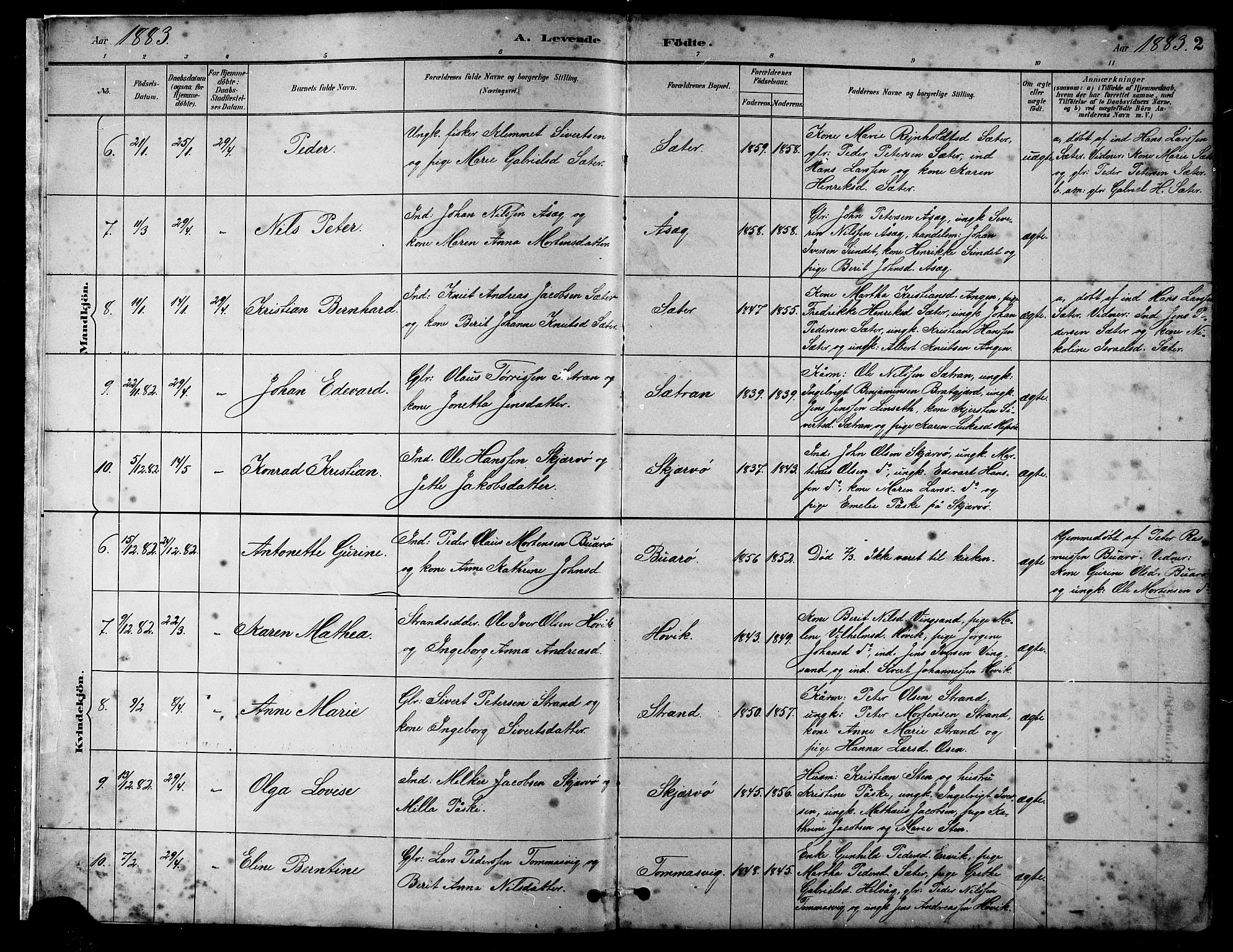 Ministerialprotokoller, klokkerbøker og fødselsregistre - Sør-Trøndelag, SAT/A-1456/658/L0726: Parish register (copy) no. 658C02, 1883-1908, p. 2