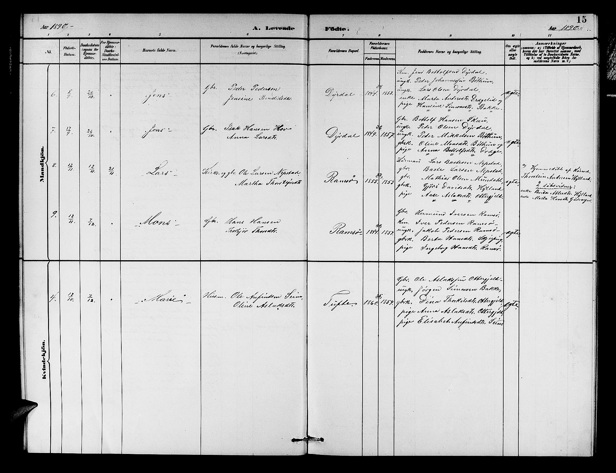 Aurland sokneprestembete, SAB/A-99937/H/Hb/Hbc/L0002: Parish register (copy) no. C 2, 1883-1900, p. 15