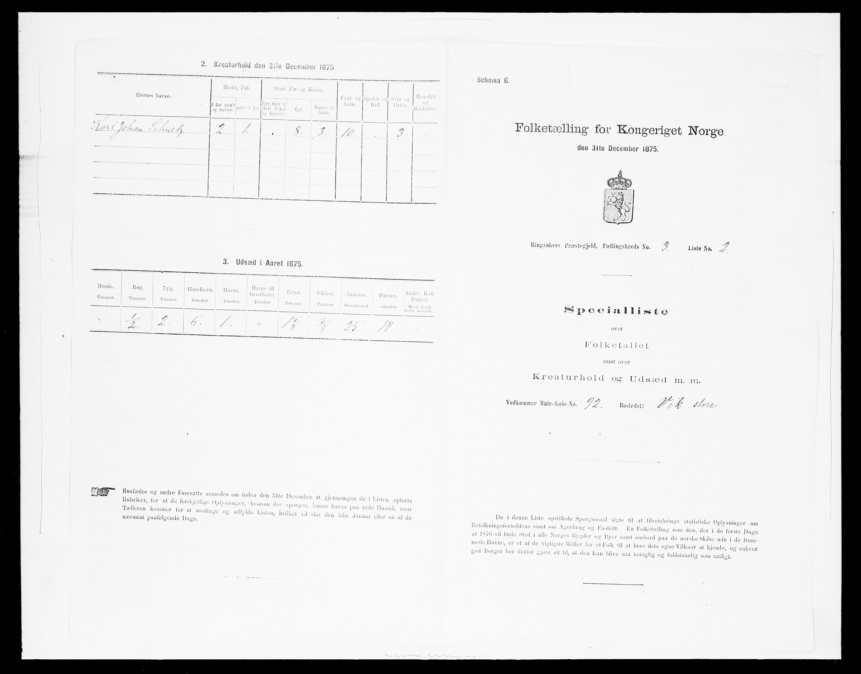 SAH, 1875 census for 0412P Ringsaker, 1875, p. 617